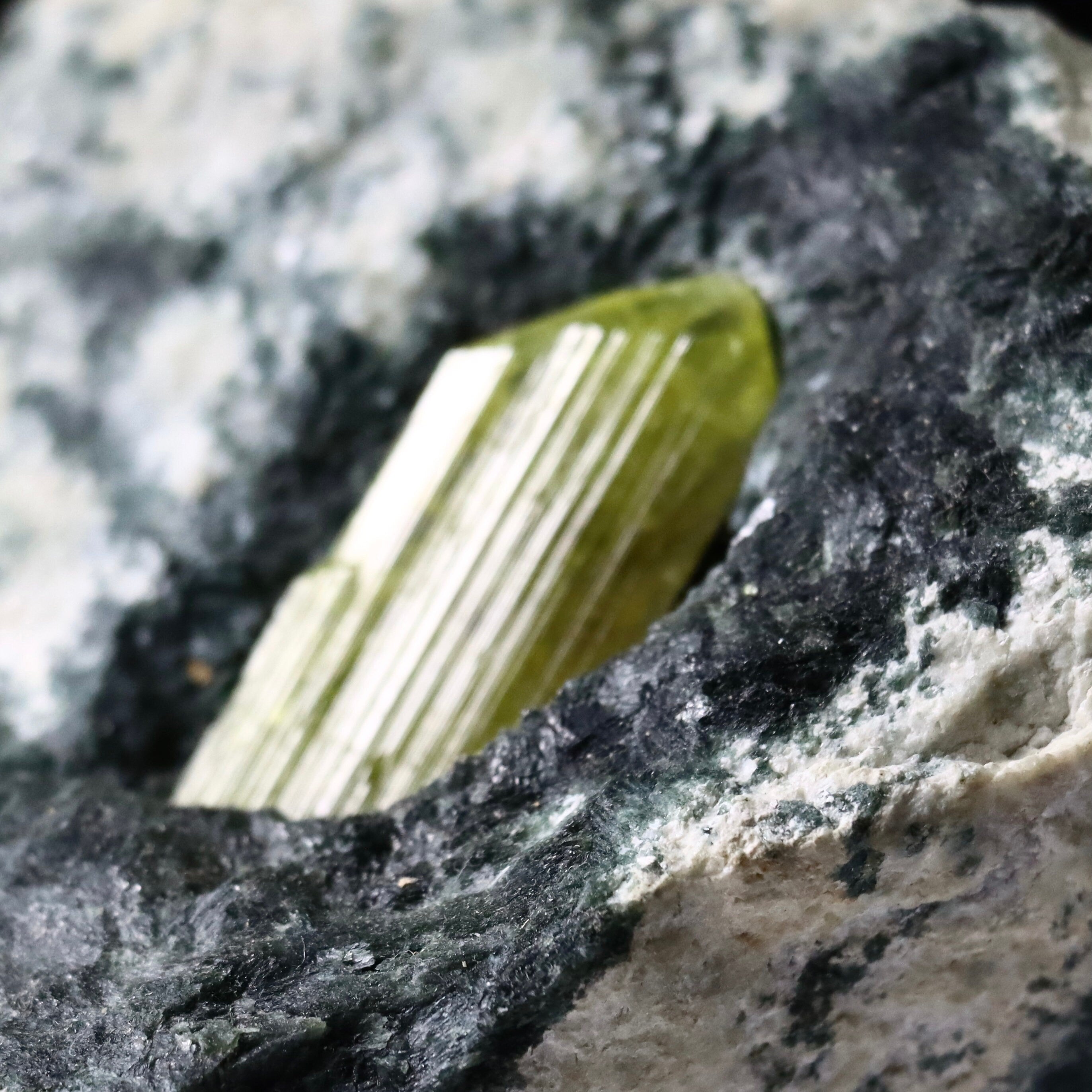 Rare Natural Chrysoberyl Crystal in Diopside Matrix | Sixling Twin Mineral Specimen from Tsitondroina, Madagascar