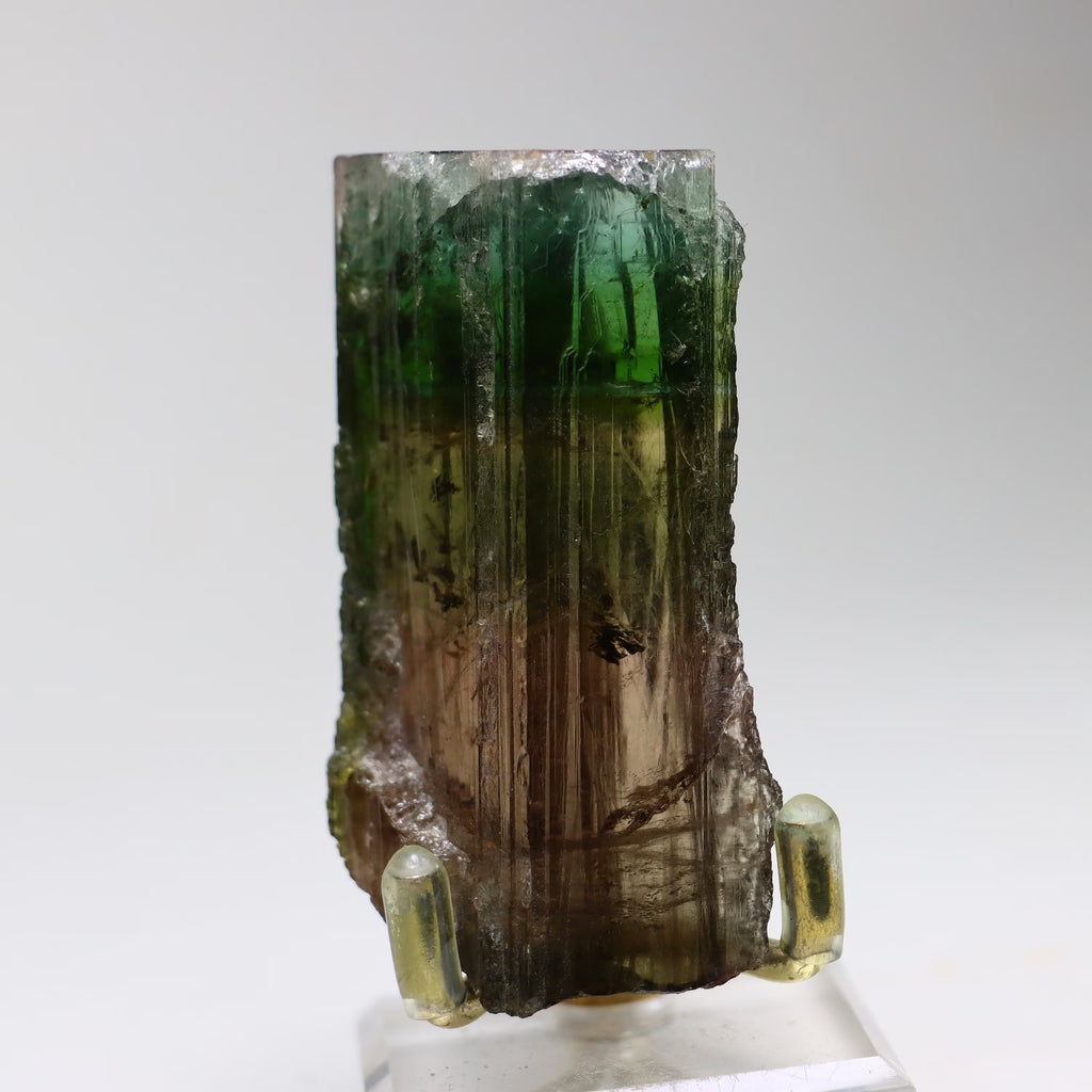 Natural Gem-Quality Rainbow Tourmaline Crystal | Pink Tourmaline Mineral Specimen from Minas Gerais, Brazil (66.75g)