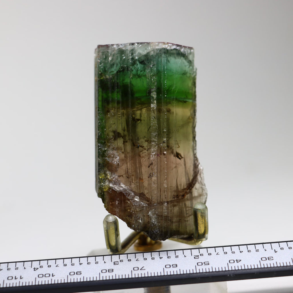 Natural Gem-Quality Rainbow Tourmaline Crystal | Pink Tourmaline Mineral Specimen from Minas Gerais, Brazil (66.75g)