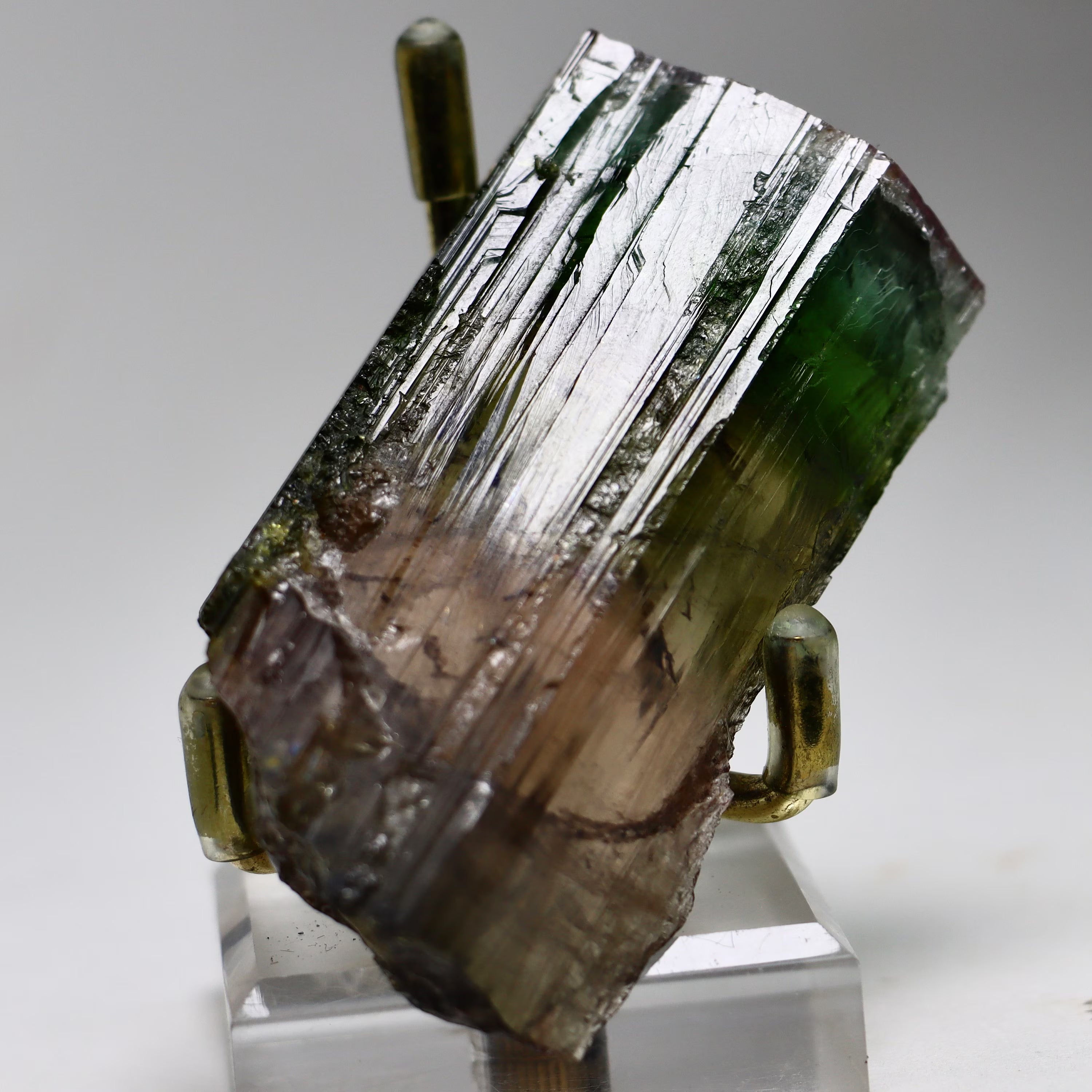 Natural Gem-Quality Rainbow Tourmaline Crystal | Pink Tourmaline Mineral Specimen from Minas Gerais, Brazil (66.75g)