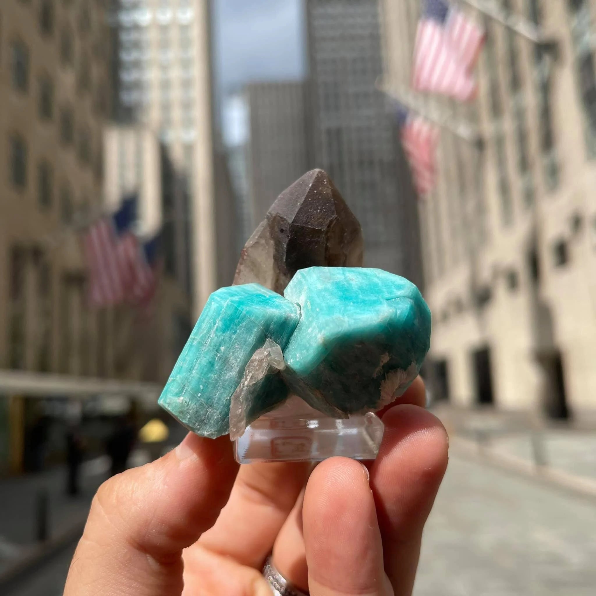 Colorado Smoky Quartz with Amazonite | Natural Smoky Quartz Crystal from Smoky Hawk Claim, Colorado, USA