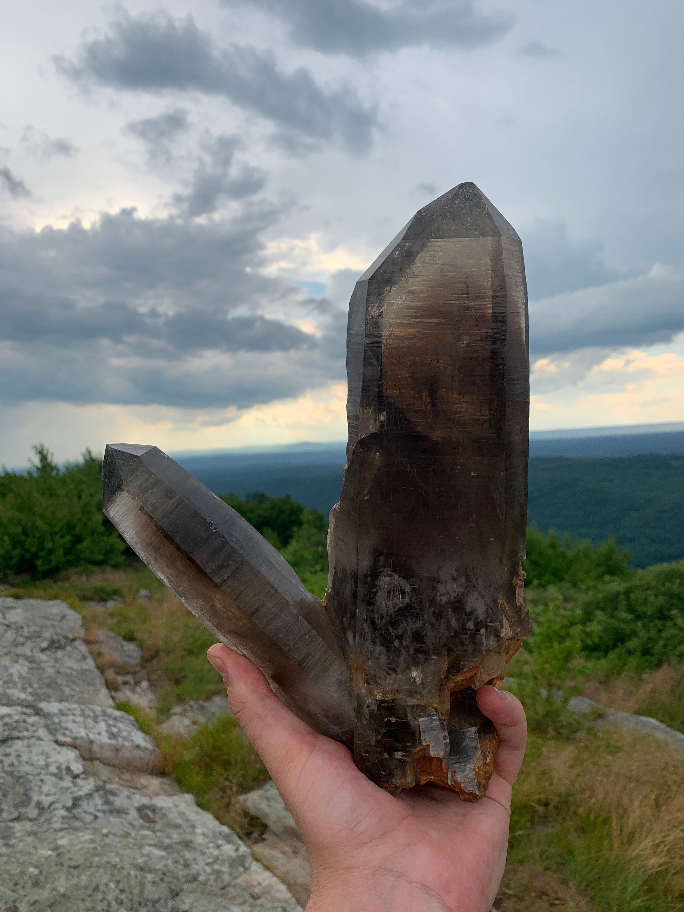 Natural Smoky Quartz with Golden Rutile | Smoky Quartz Point from Smoky Hawk Claim, Crystal Peak, Colorado, USA