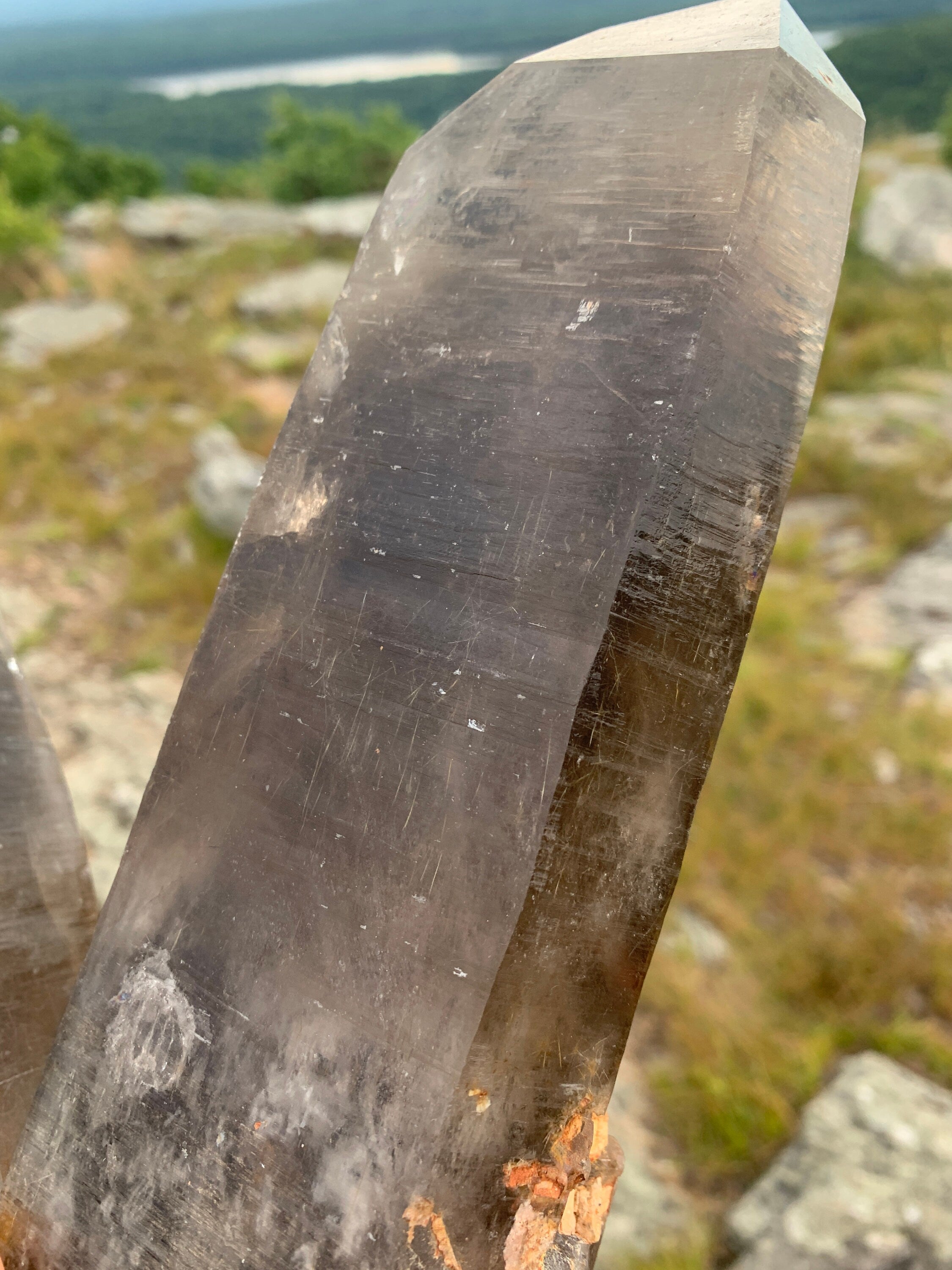 Natural Smoky Quartz with Golden Rutile | Smoky Quartz Point from Smoky Hawk Claim, Crystal Peak, Colorado, USA