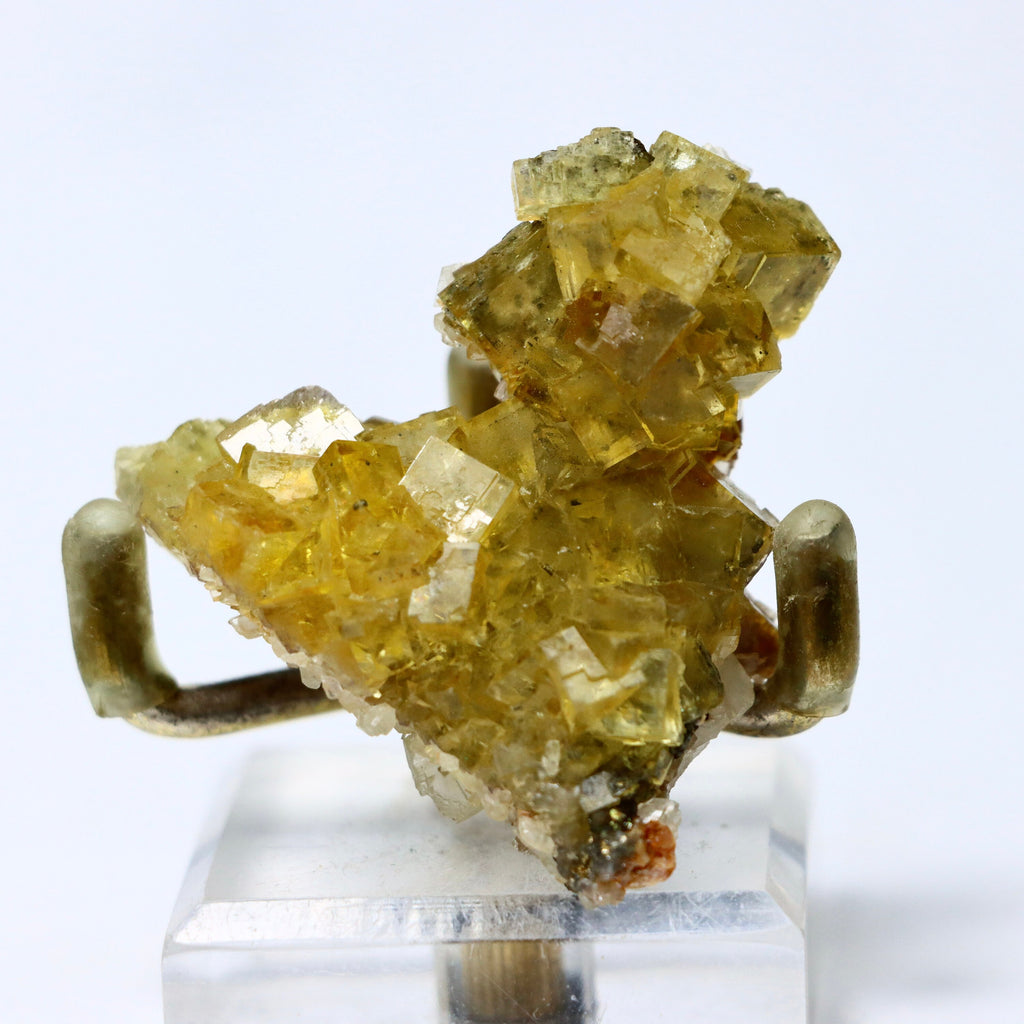 May include: A cluster of yellow fluorite crystals on a display stand. The crystals are translucent and have a cubic shape. The fluorite is a light yellow color and has a glassy luster.