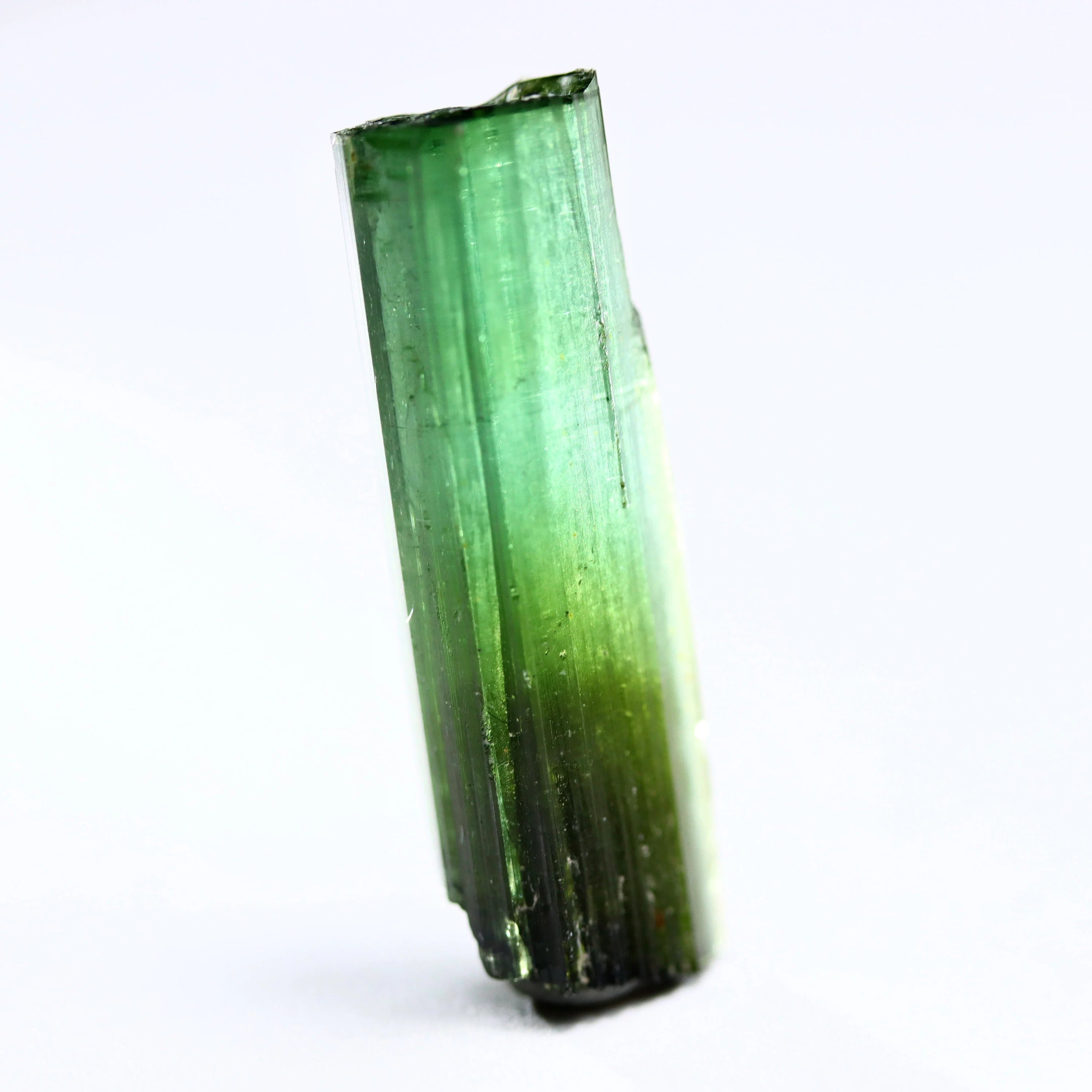 Green Tourmaline Crystal | Minas Gerais Brazil