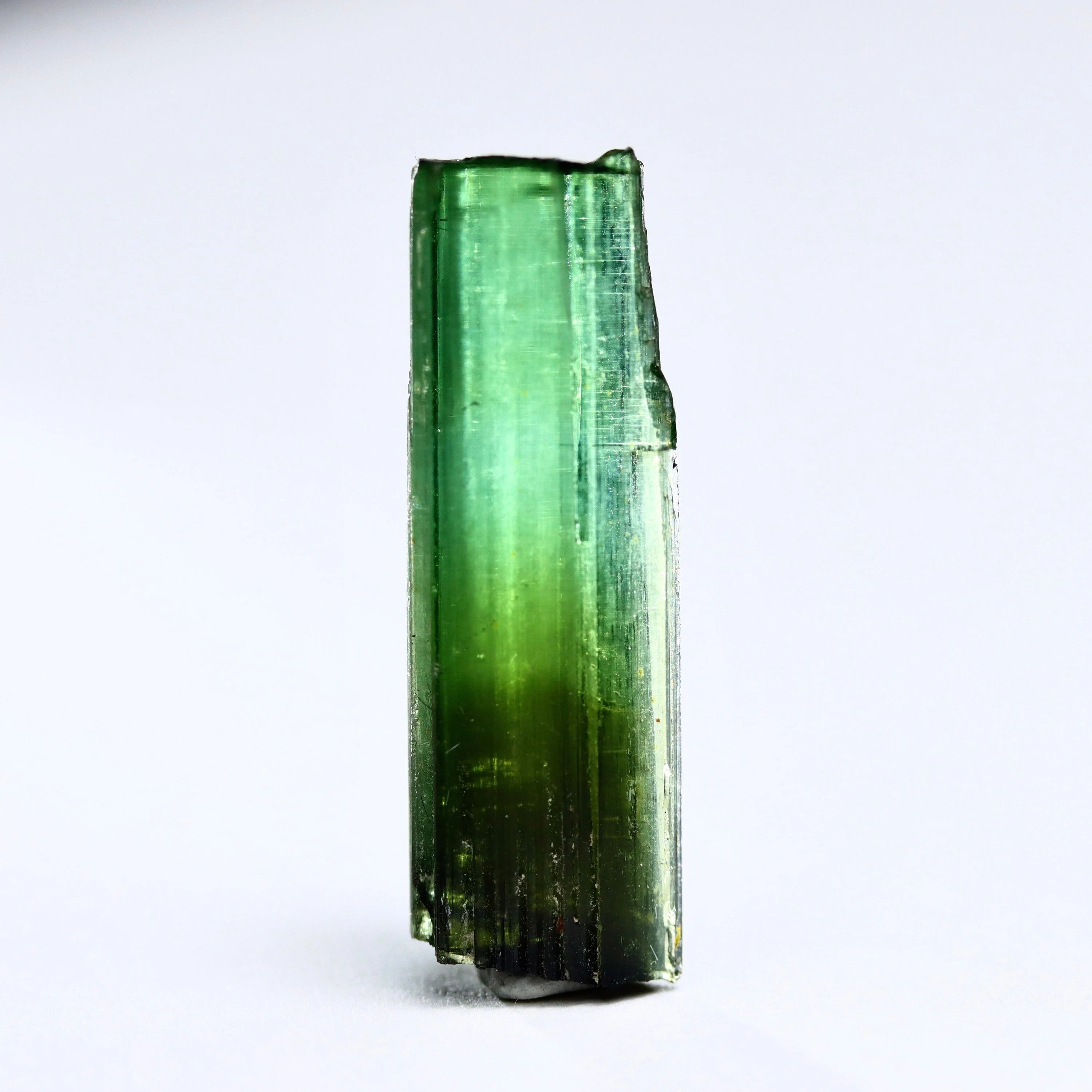 Green Tourmaline Crystal | Minas Gerais Brazil