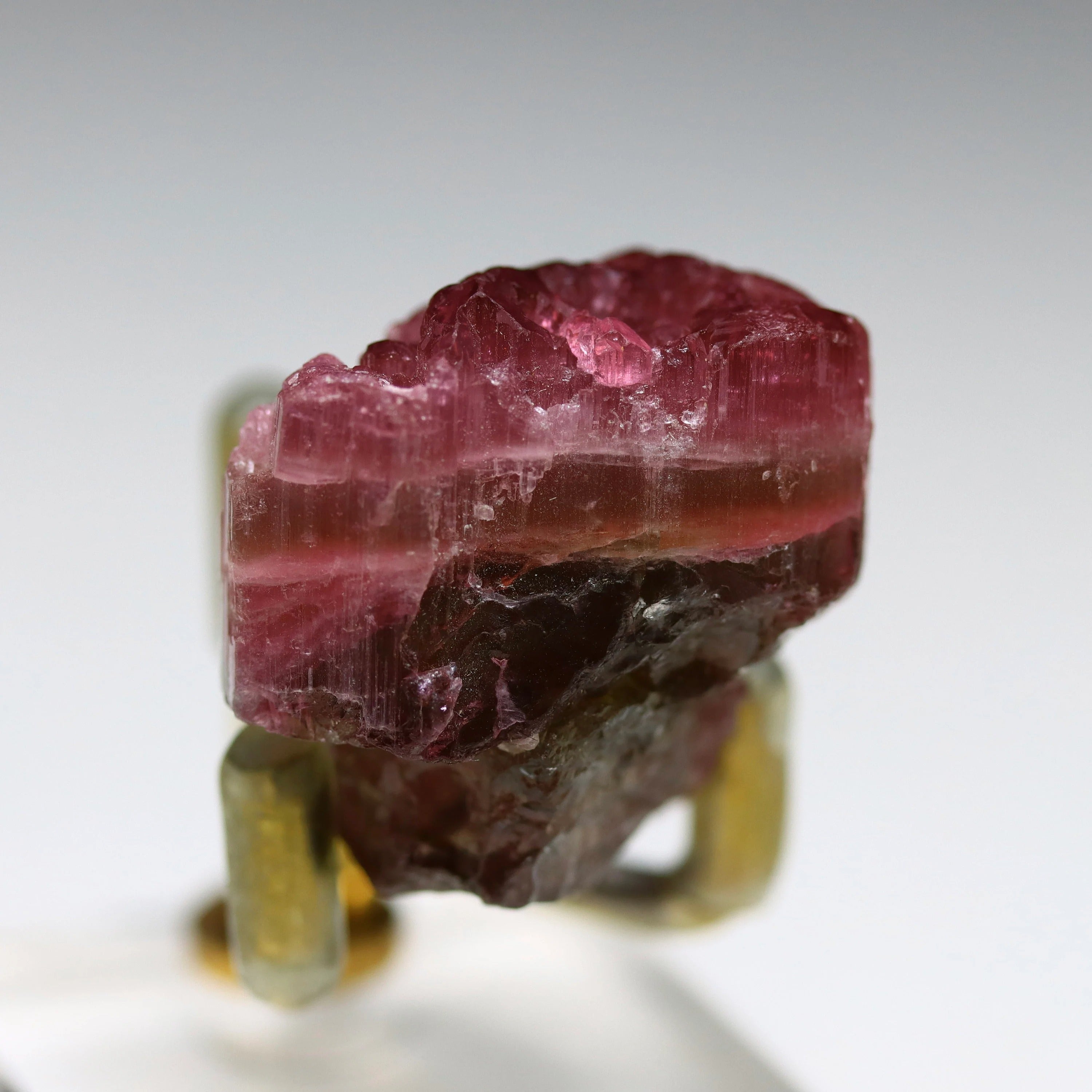 Rubellite Tourmaline Crystal | Bicolor Tourmaline