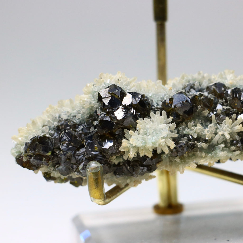Bulgarian Sphalerite with Galena | Madan Mine