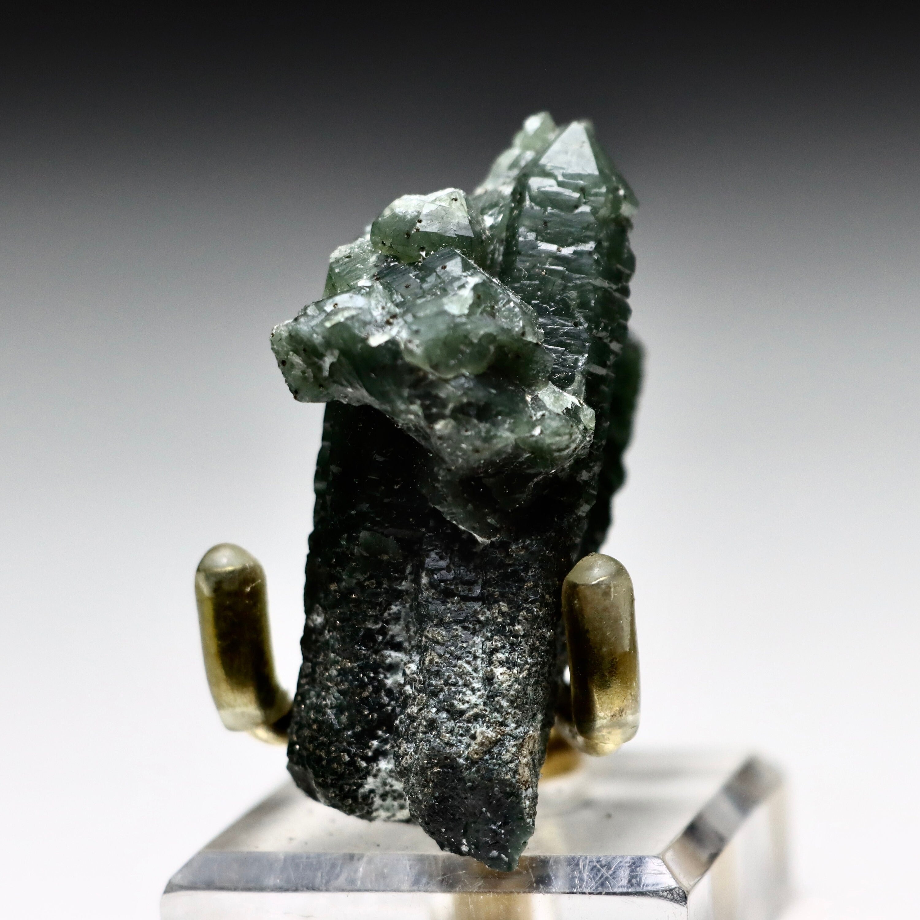 Hedenbergite in Quartz | Inner Mongolia