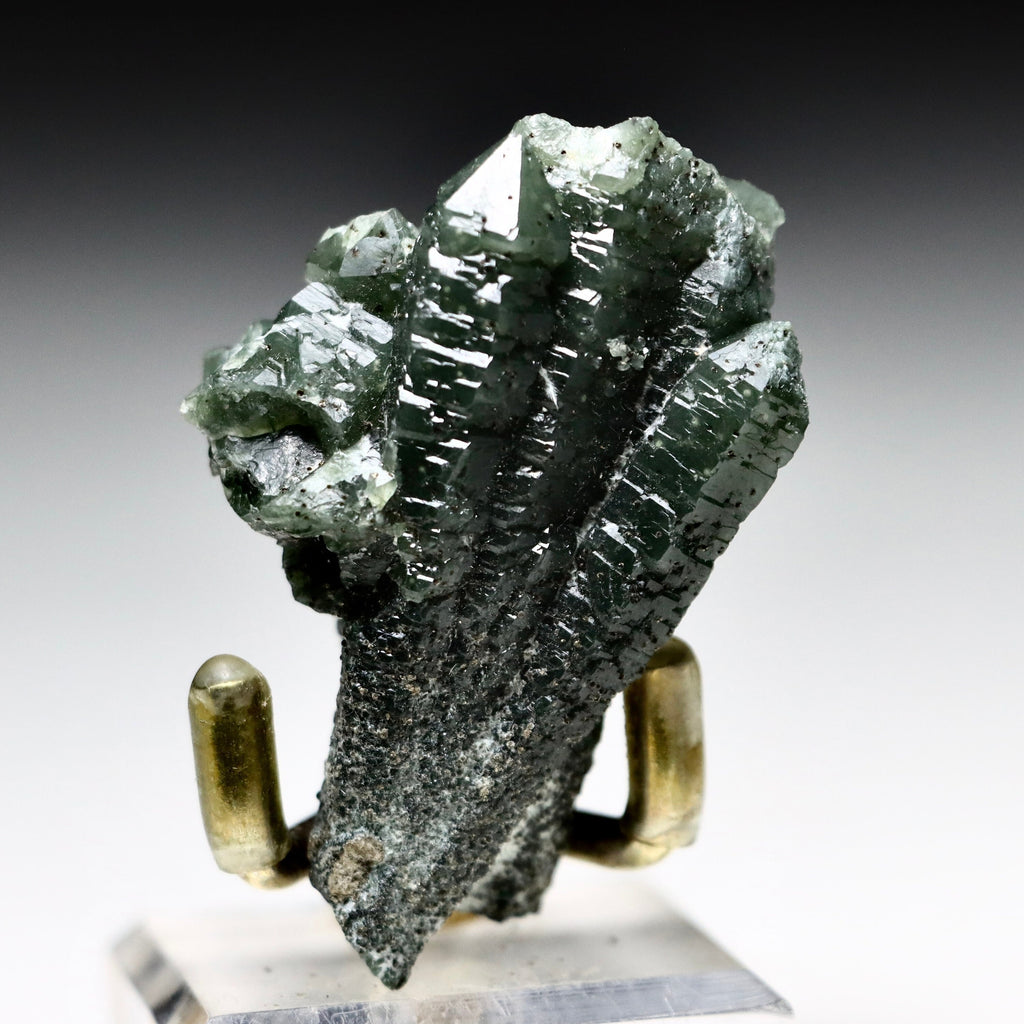 Hedenbergite in Quartz | Inner Mongolia