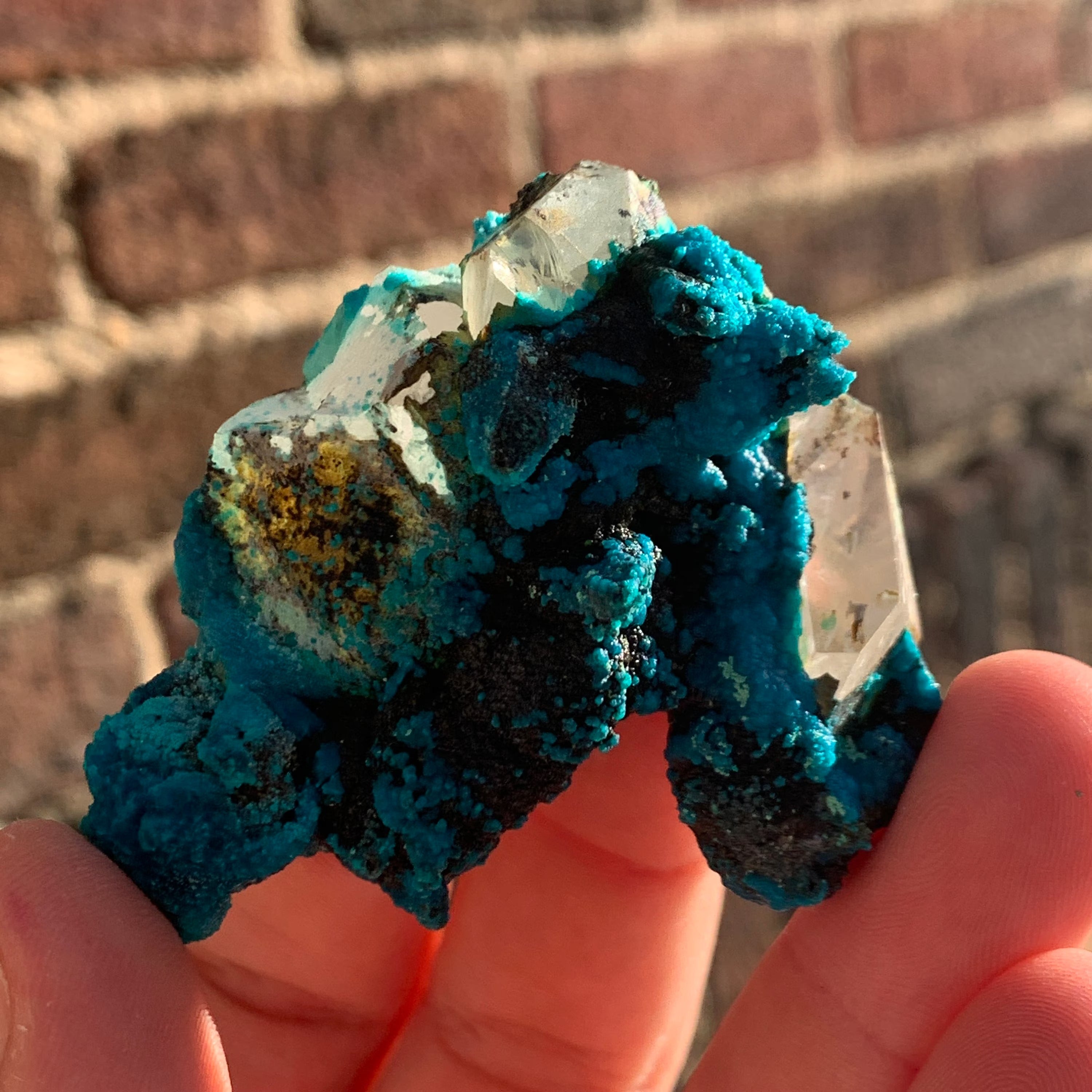 Chrysocolla after Calcite on Quartz | Raw Quartz Crystal Raw Crystal Natural Quartz Stone Healing Crystal Point Quartz Smokey