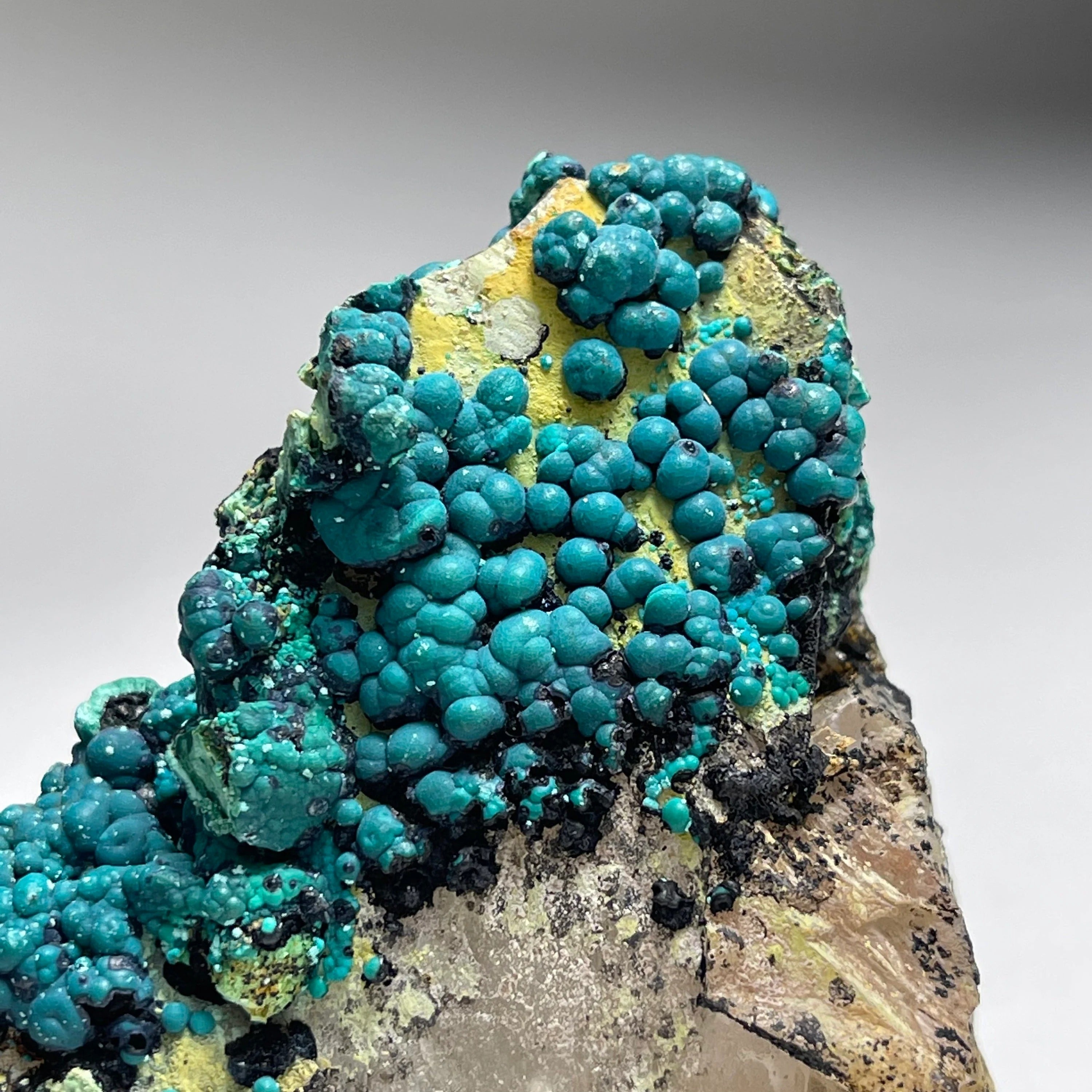 Botryoidal Chrysocolla on Quartz | Natural Mineral Specimen from Tentadora Mine, Peru