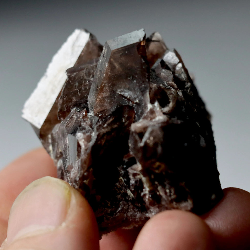 Axinite Epidote Tourmaline Multi-Mineral Specimen