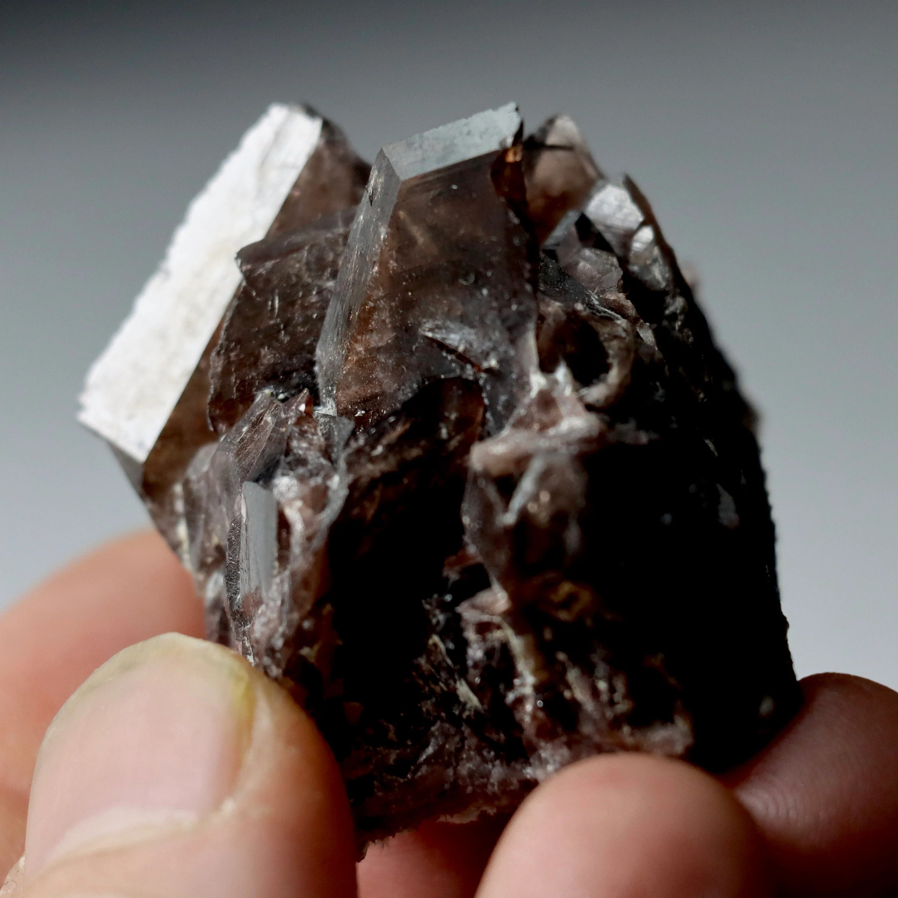 Axinite Epidote Tourmaline Multi-Mineral Specimen