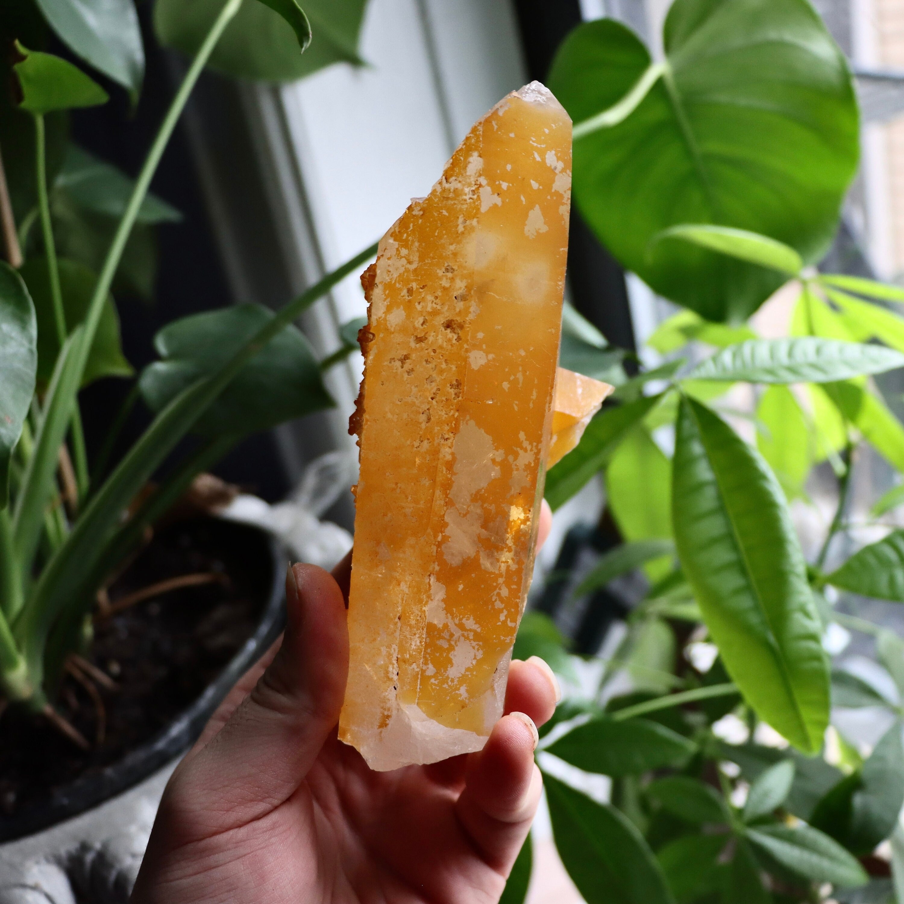 Golden Healer Quartz Crystal | Natural Quartz Point