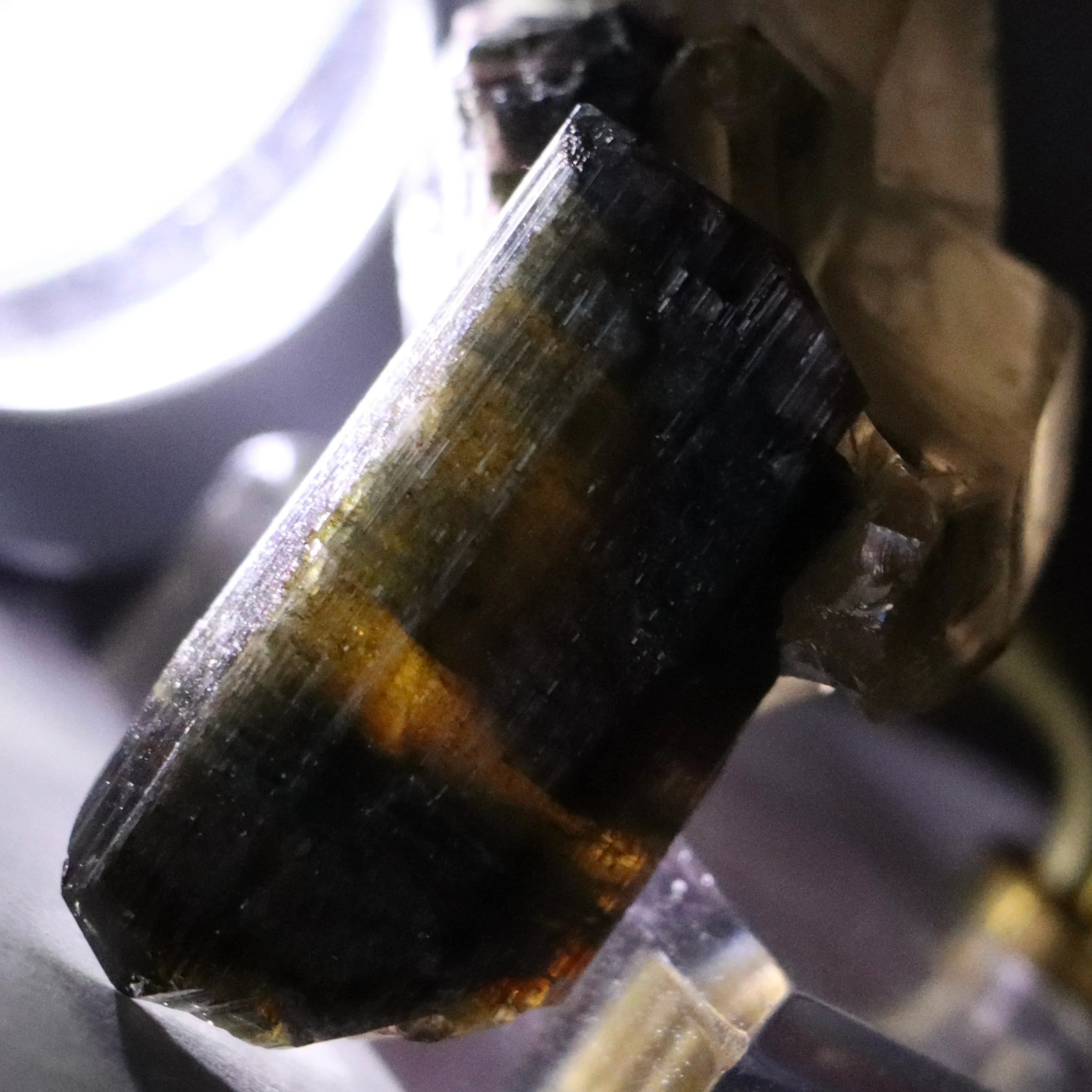 Liddicoatite Tourmaline with Smoky Quartz | Madagascar