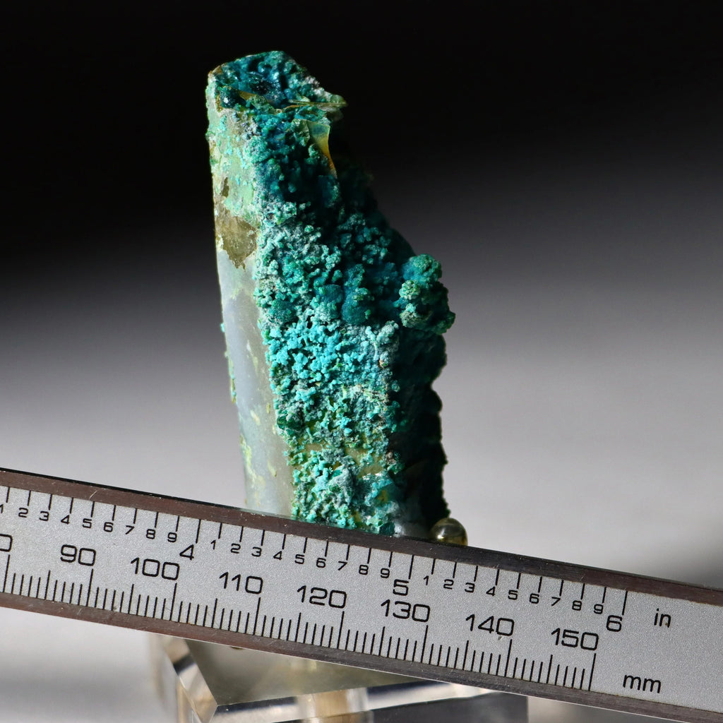 Chrysocolla on Quartz with Malachite | Natural Mineral Specimen
