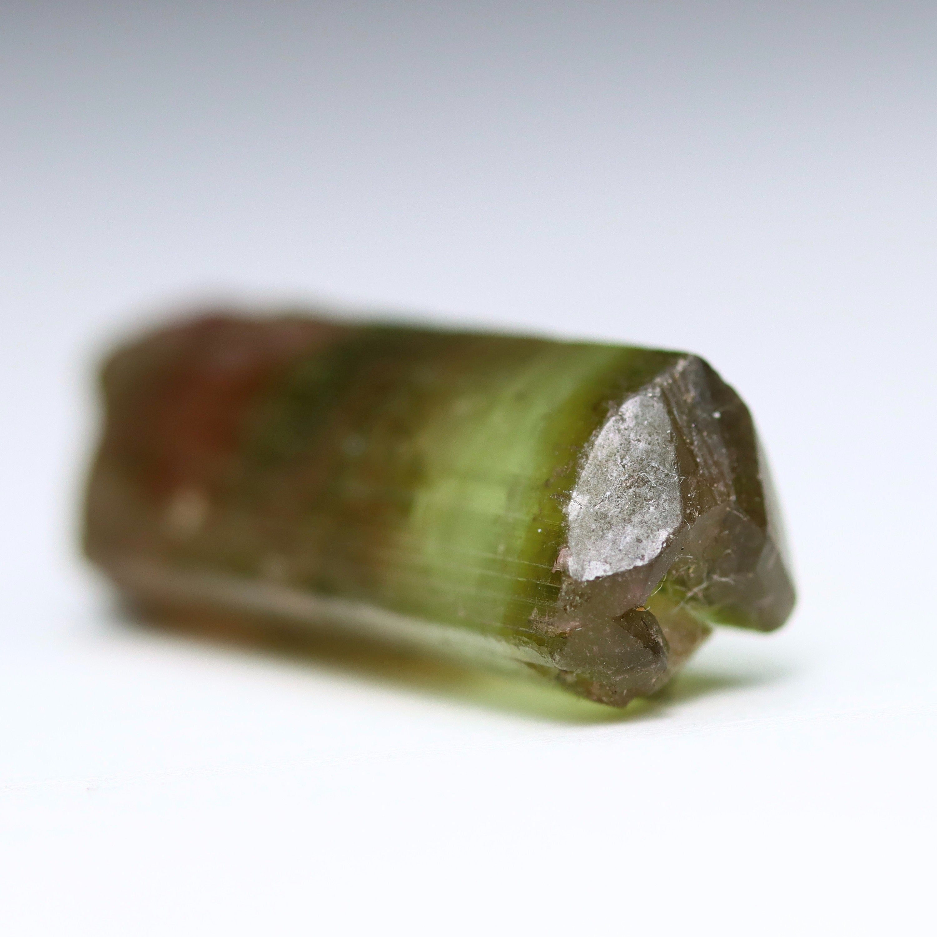Catseye Watermelon Tourmaline Crystal