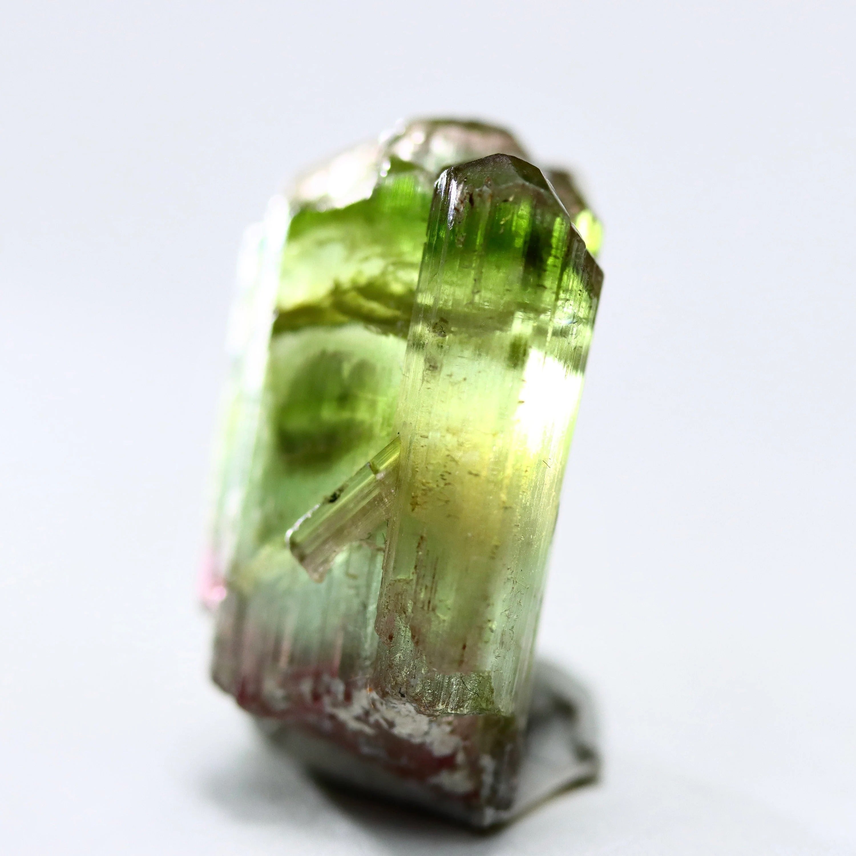 Catseye Watermelon Tourmaline Crystal | Green & Pink Tourmaline from Brazil