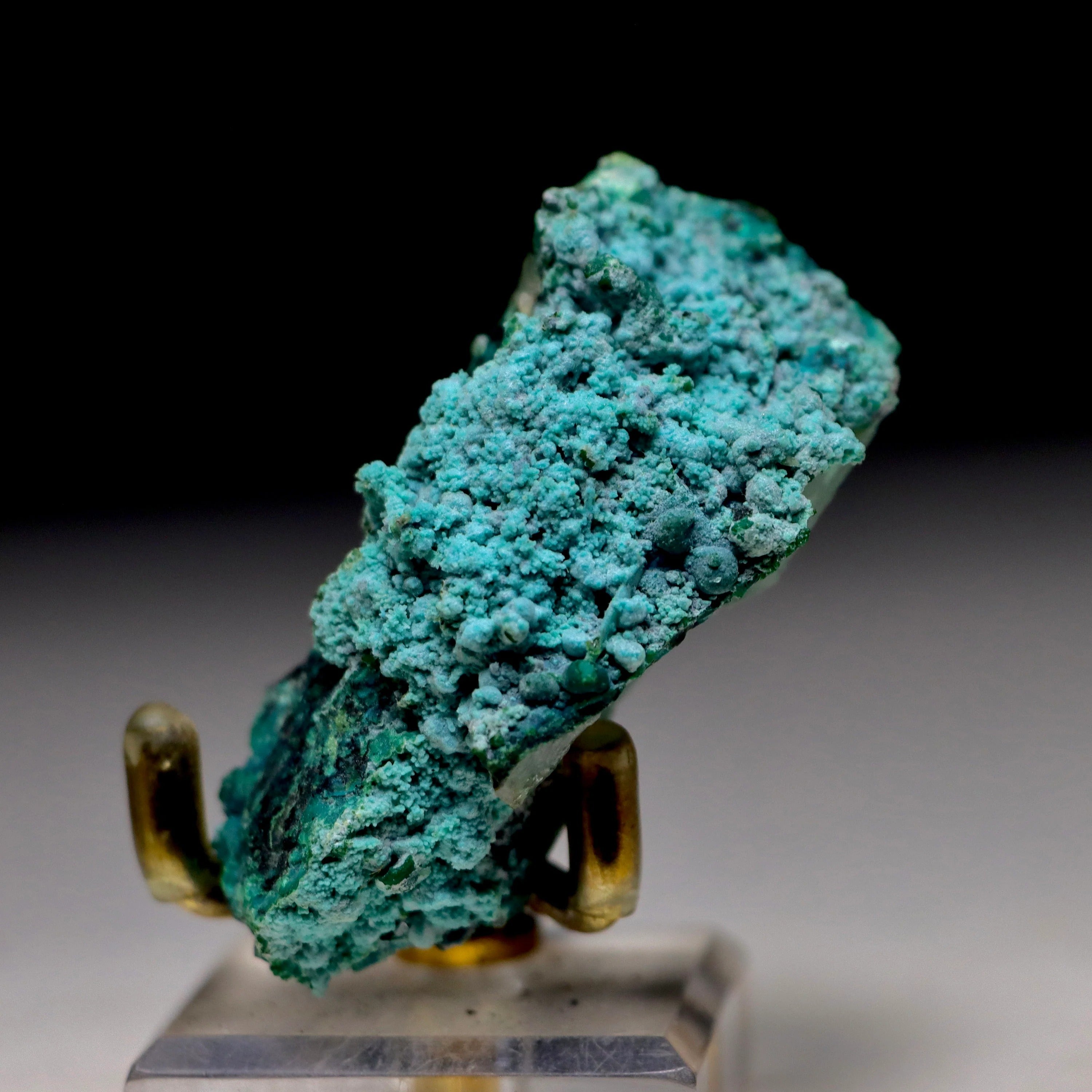Chrysocolla on Quartz w/ Malachite