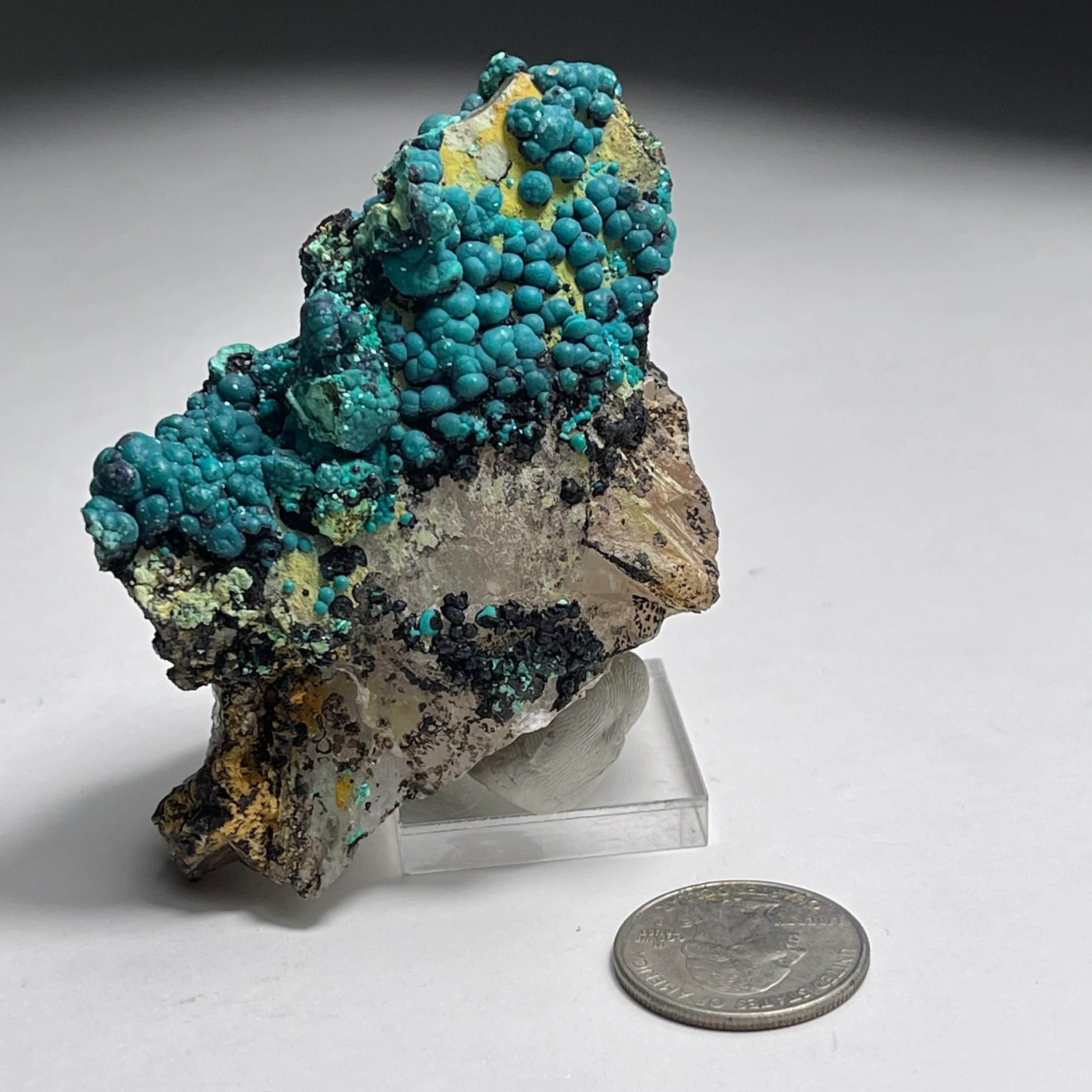 Botryoidal Chrysocolla on Quartz | Natural Mineral Specimen from Tentadora Mine, Peru