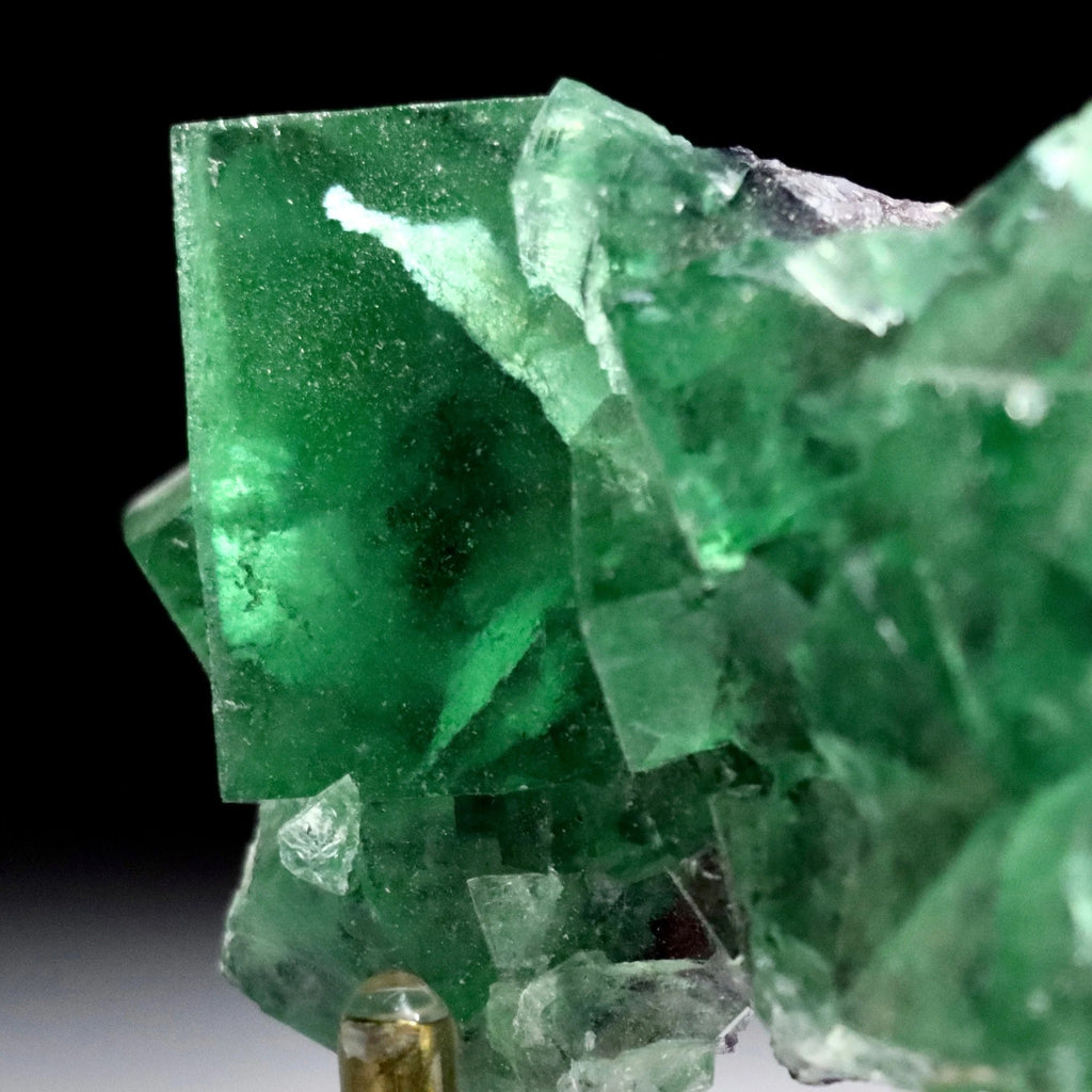 Green & Purple Phantom Fluorite | Inner Mongolia
