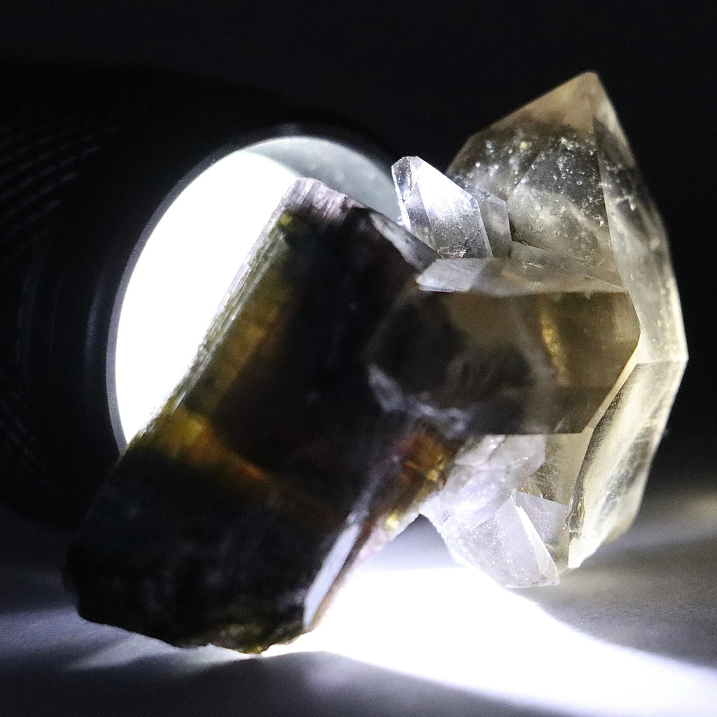 Liddicoatite Tourmaline with Smoky Quartz | Madagascar