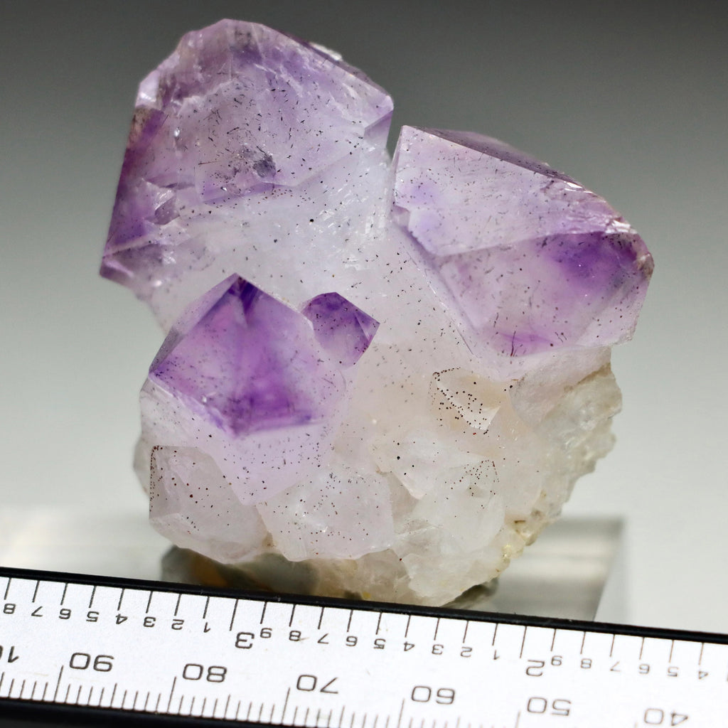 Japan Law Twin Amethyst Scepter | Natural Amethyst Quartz Crystal from Marovaolavo Mine, Madagascar