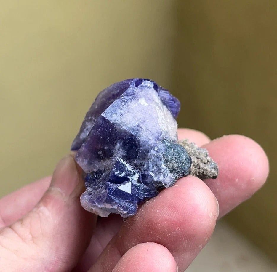 Color Changing Fluorite on Matrix | Rogerley Mine