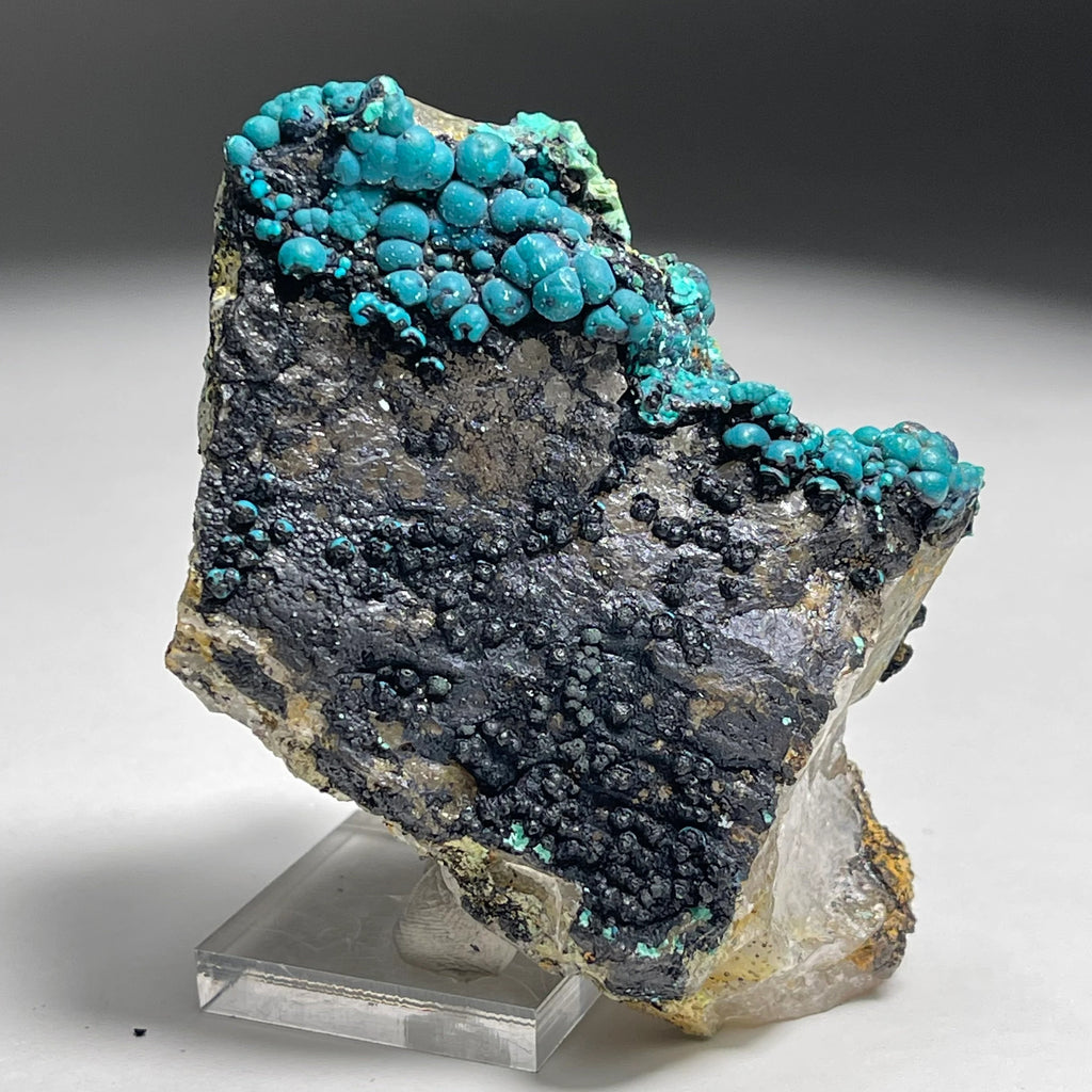 Botryoidal Chrysocolla on Quartz | Natural Mineral Specimen from Tentadora Mine, Peru