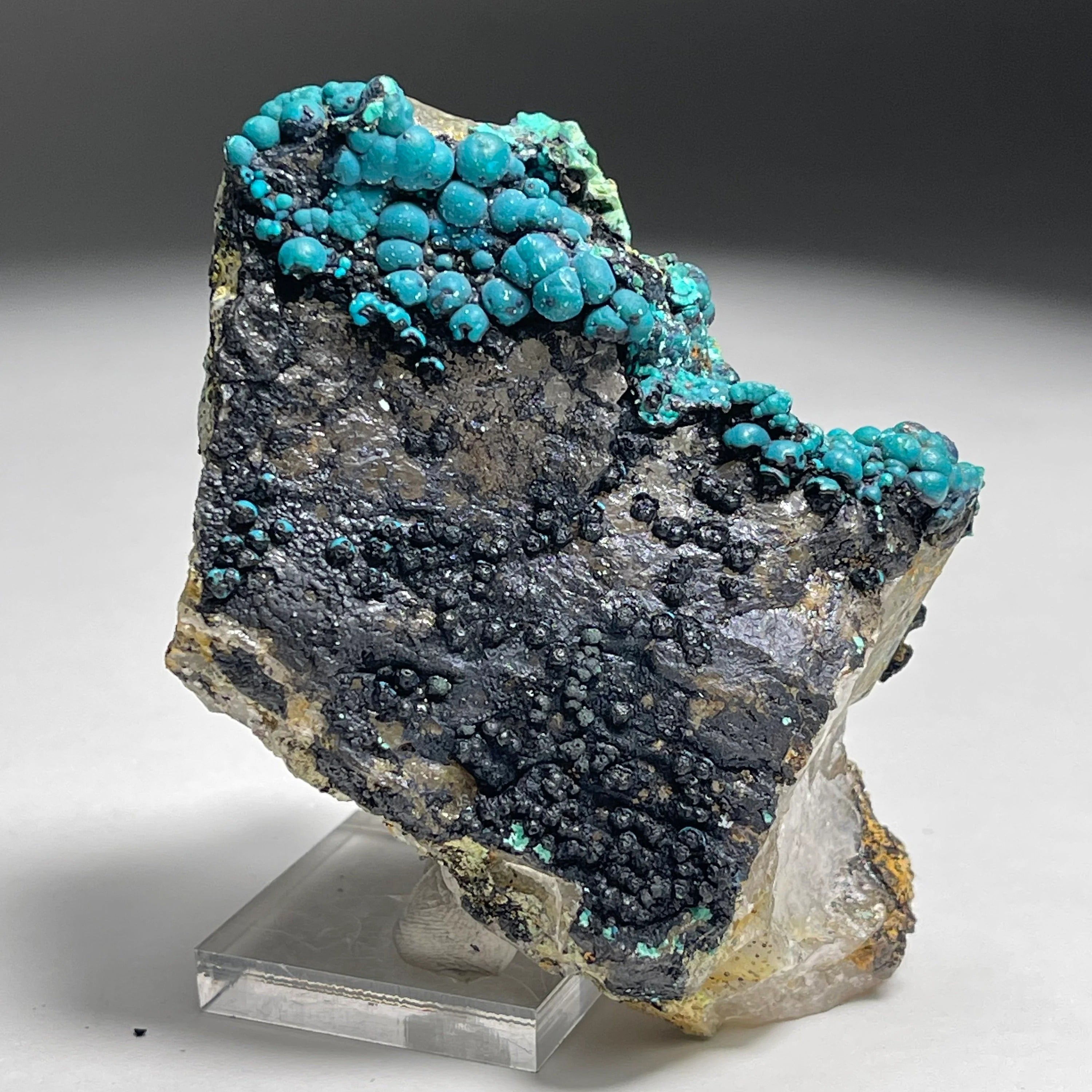Botryoidal Chrysocolla on Quartz | Natural Mineral Specimen from Tentadora Mine, Peru