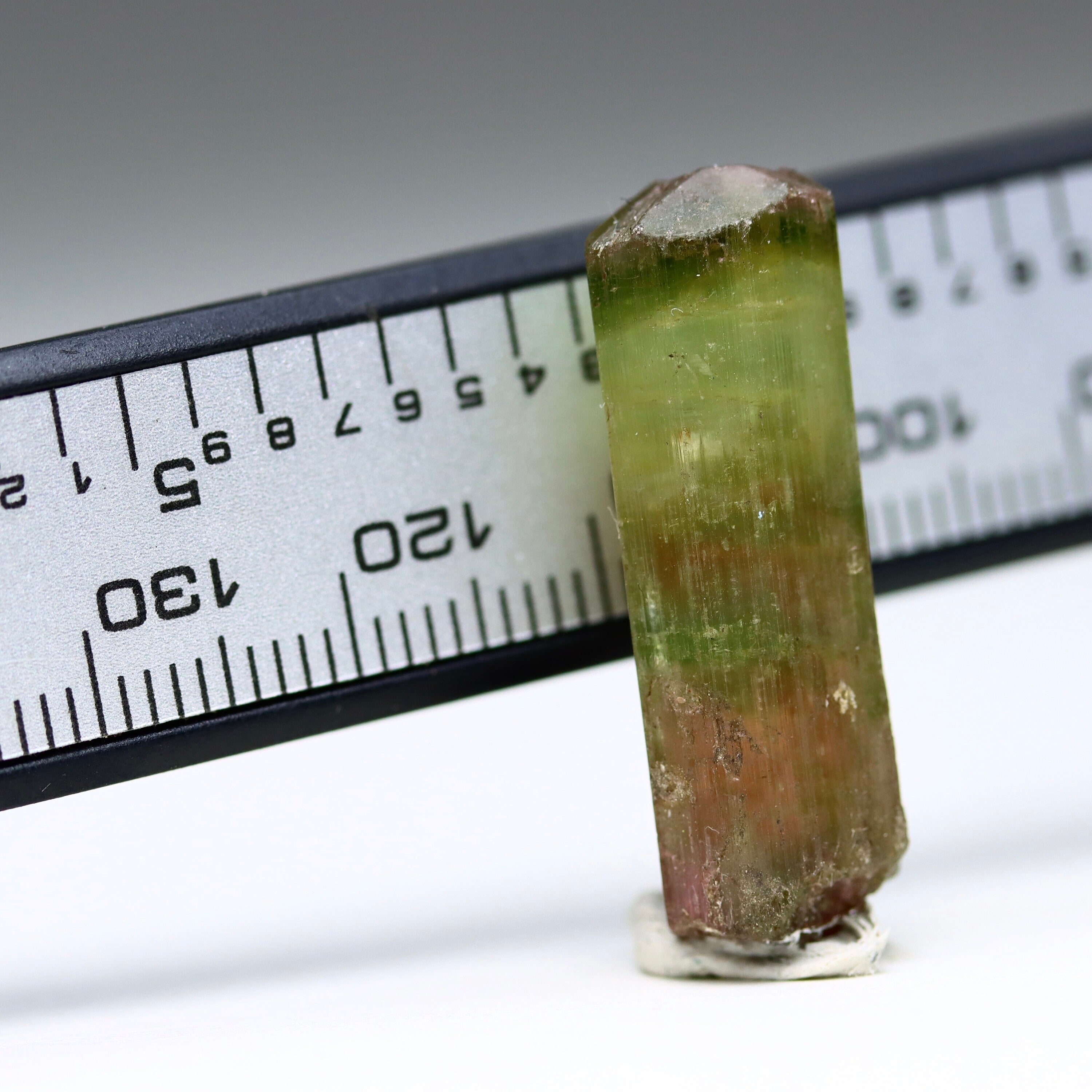 Catseye Watermelon Tourmaline Crystal