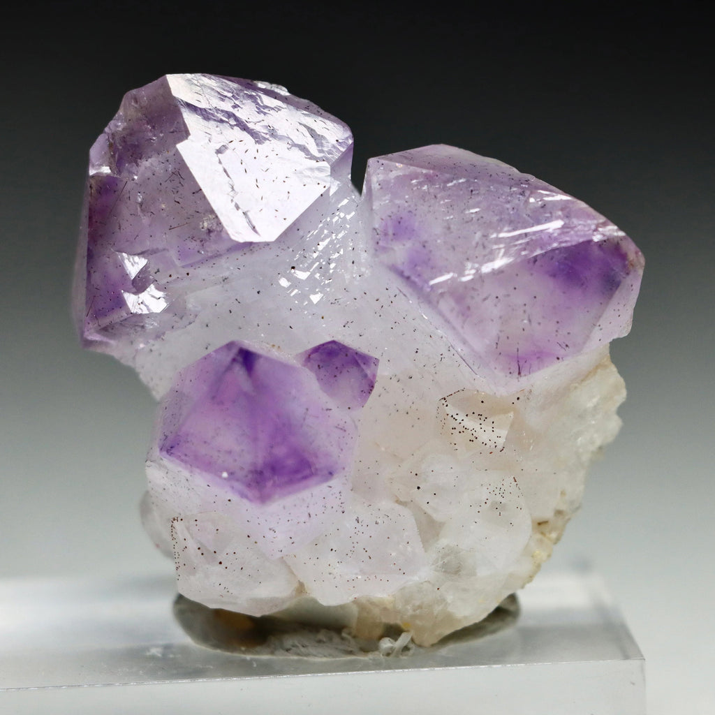 Japan Law Twin Amethyst Scepter | Natural Amethyst Quartz Crystal from Marovaolavo Mine, Madagascar