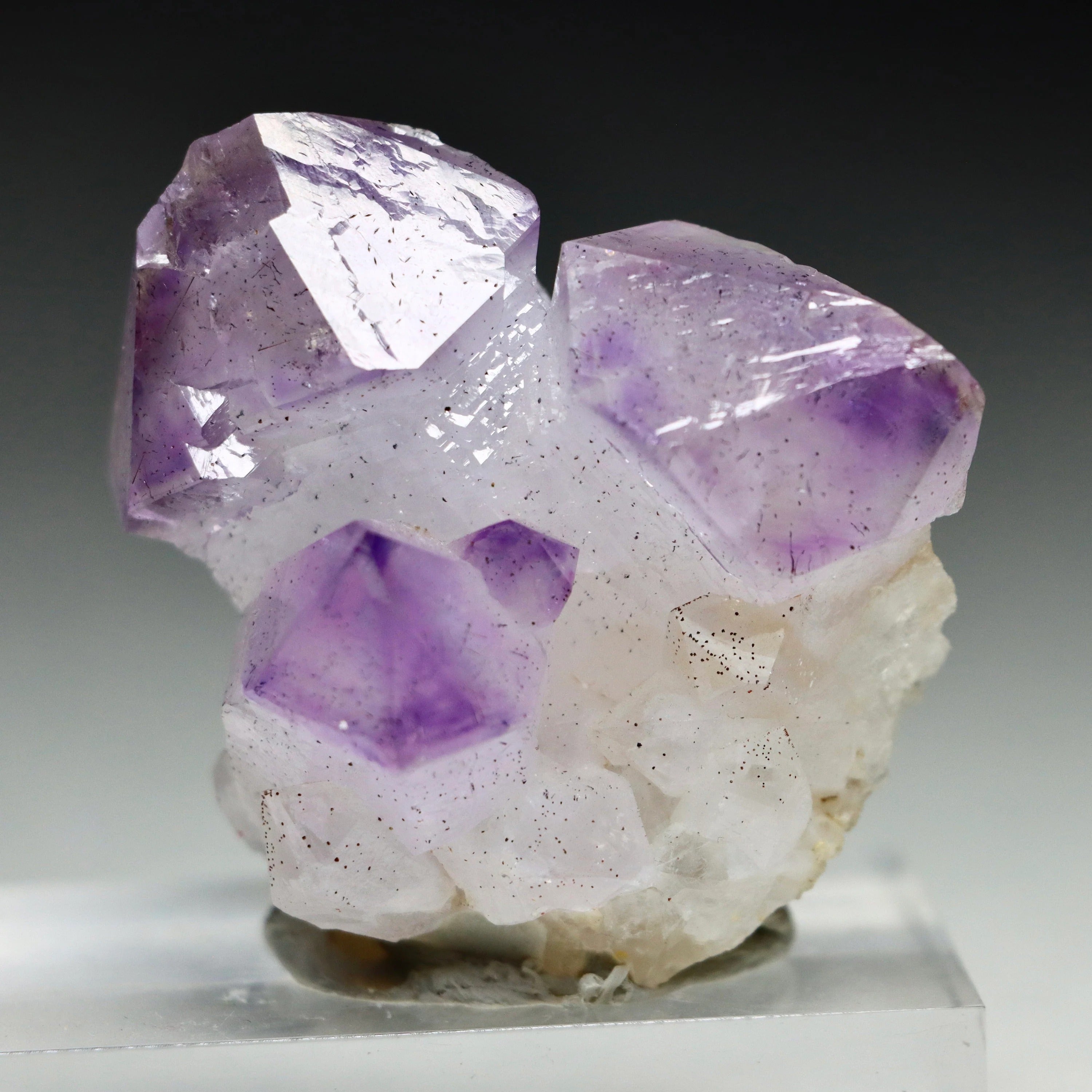 Japan Law Twin Amethyst Scepter | Natural Amethyst Quartz Crystal from Marovaolavo Mine, Madagascar