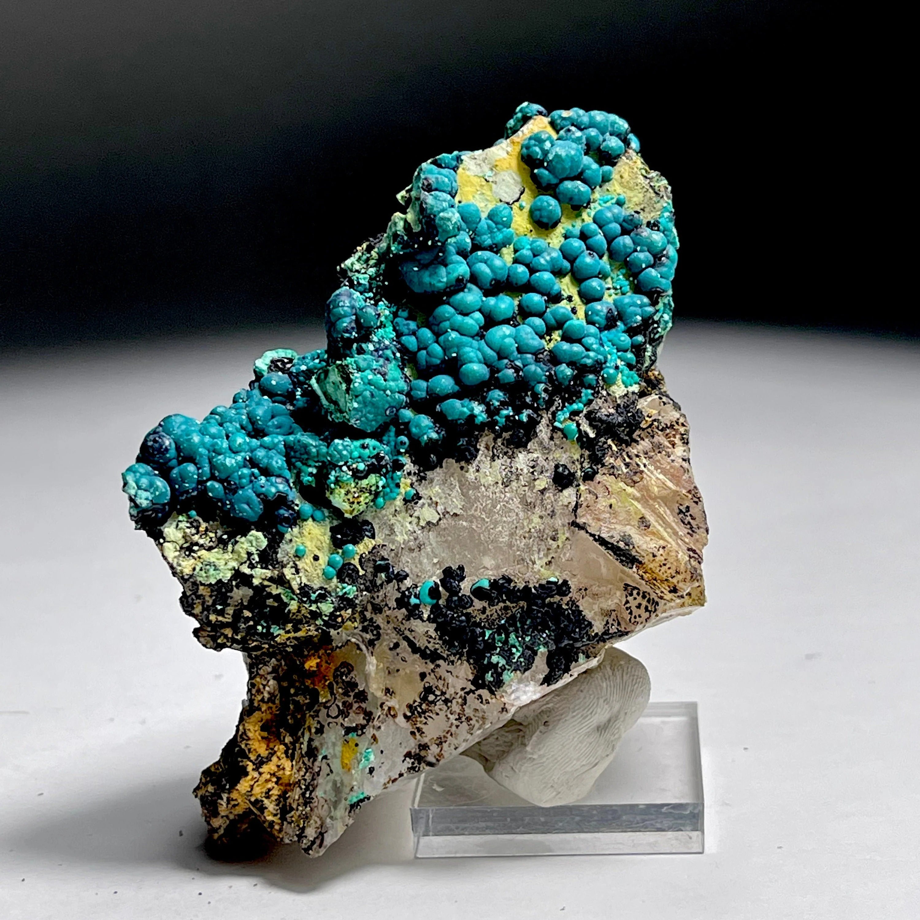 Botryoidal Chrysocolla on Quartz | Natural Mineral Specimen from Tentadora Mine, Peru