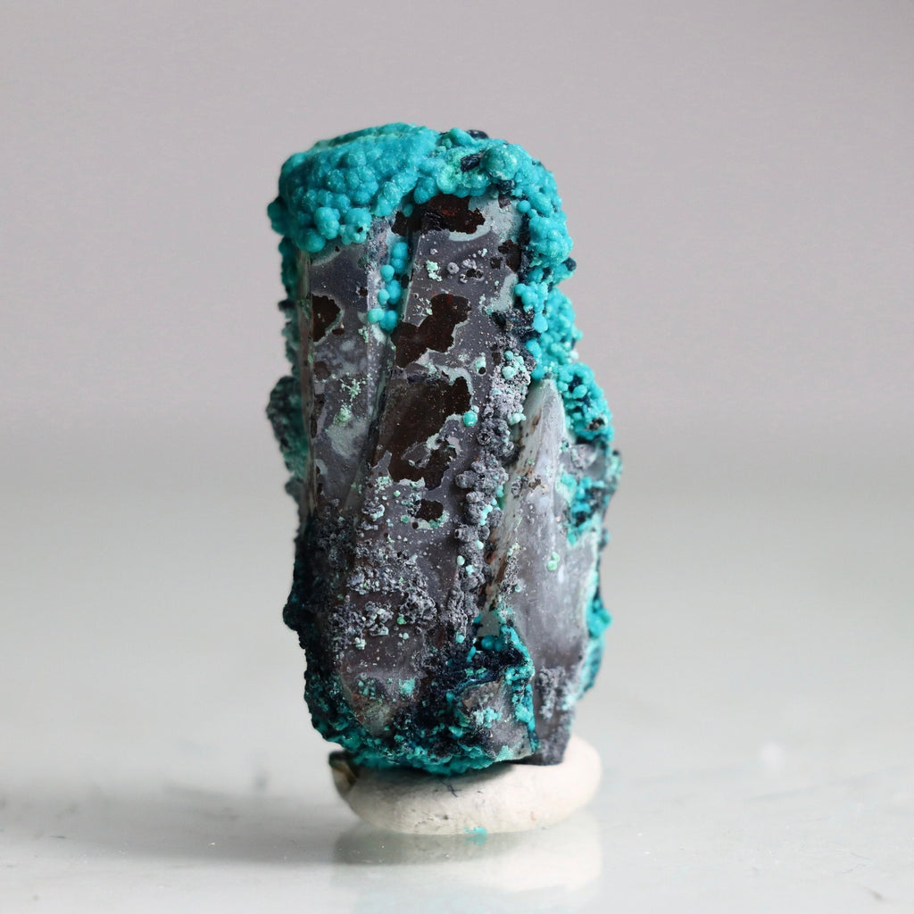 Azurite on Botryoidal Chrysocolla on Quartz
