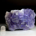 Fluorite with Druzy Quartz | Natural Fluorite Crystal from La Viesca Mine, Spain