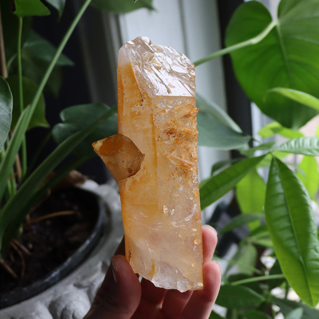 Golden Healer Quartz Crystal | Natural Quartz Point