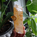 Golden Healer Quartz Crystal | Natural Quartz Point