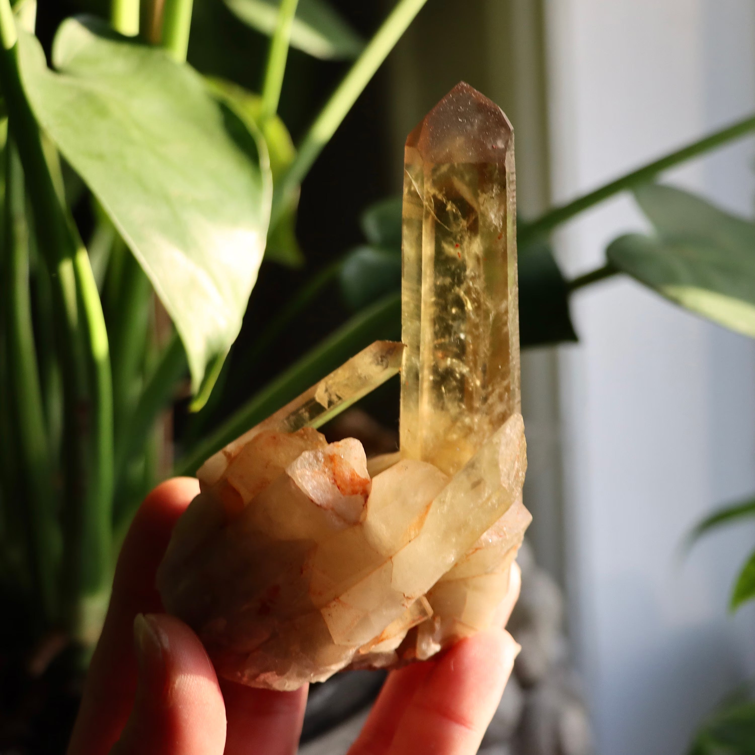 Natural Citrine Point | Madagascar