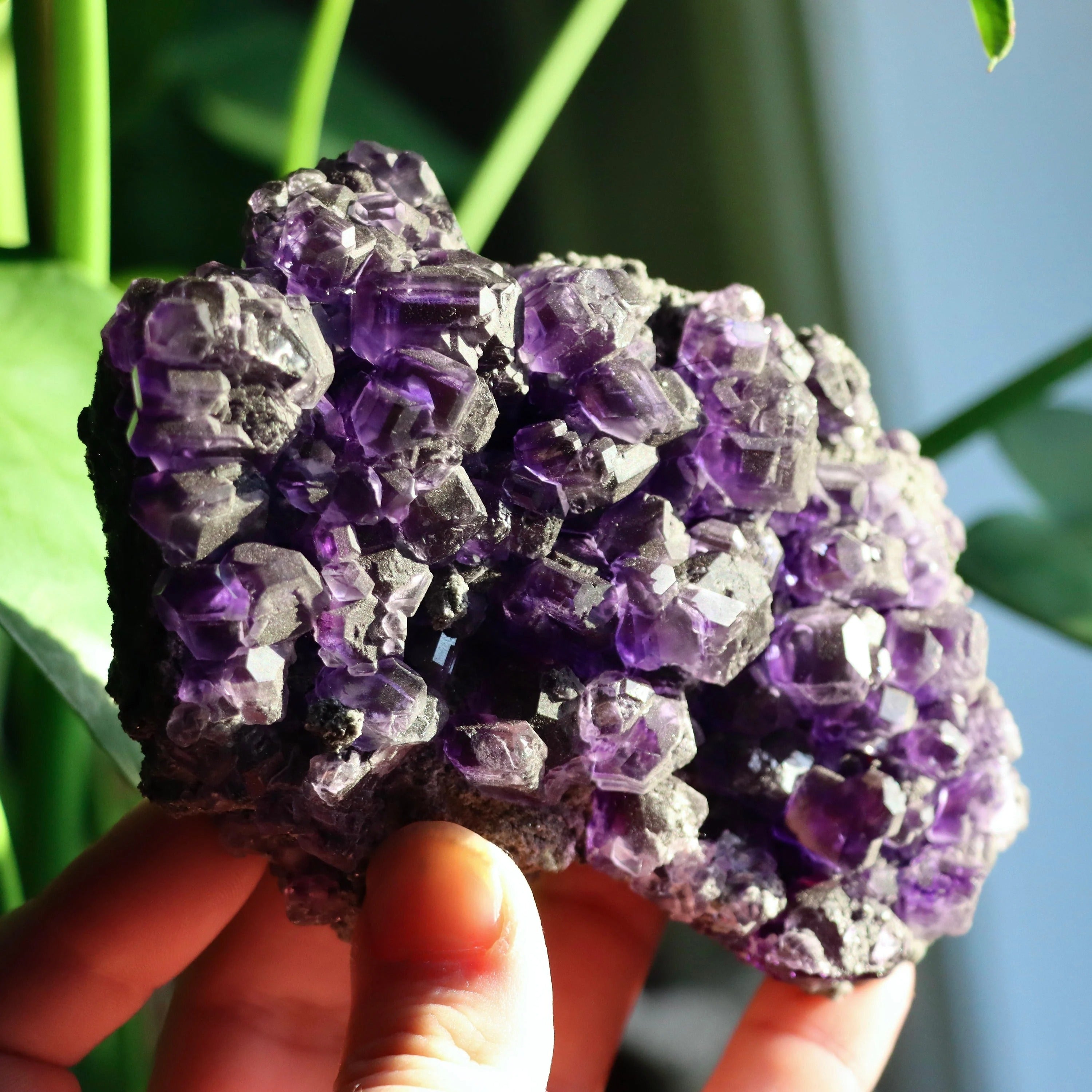 Purple “Tanzanite” Fluorite Crystal | Natural Cubic Fluorite from Xiayang Mine, Fujian, China