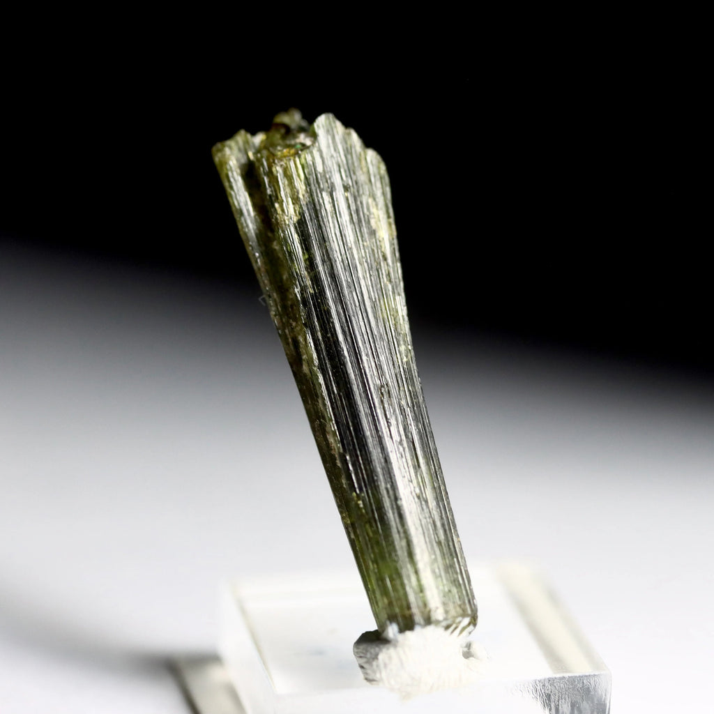 Green Catseye Tourmaline Crystal | Natural Green Tourmaline from Minas Gerais