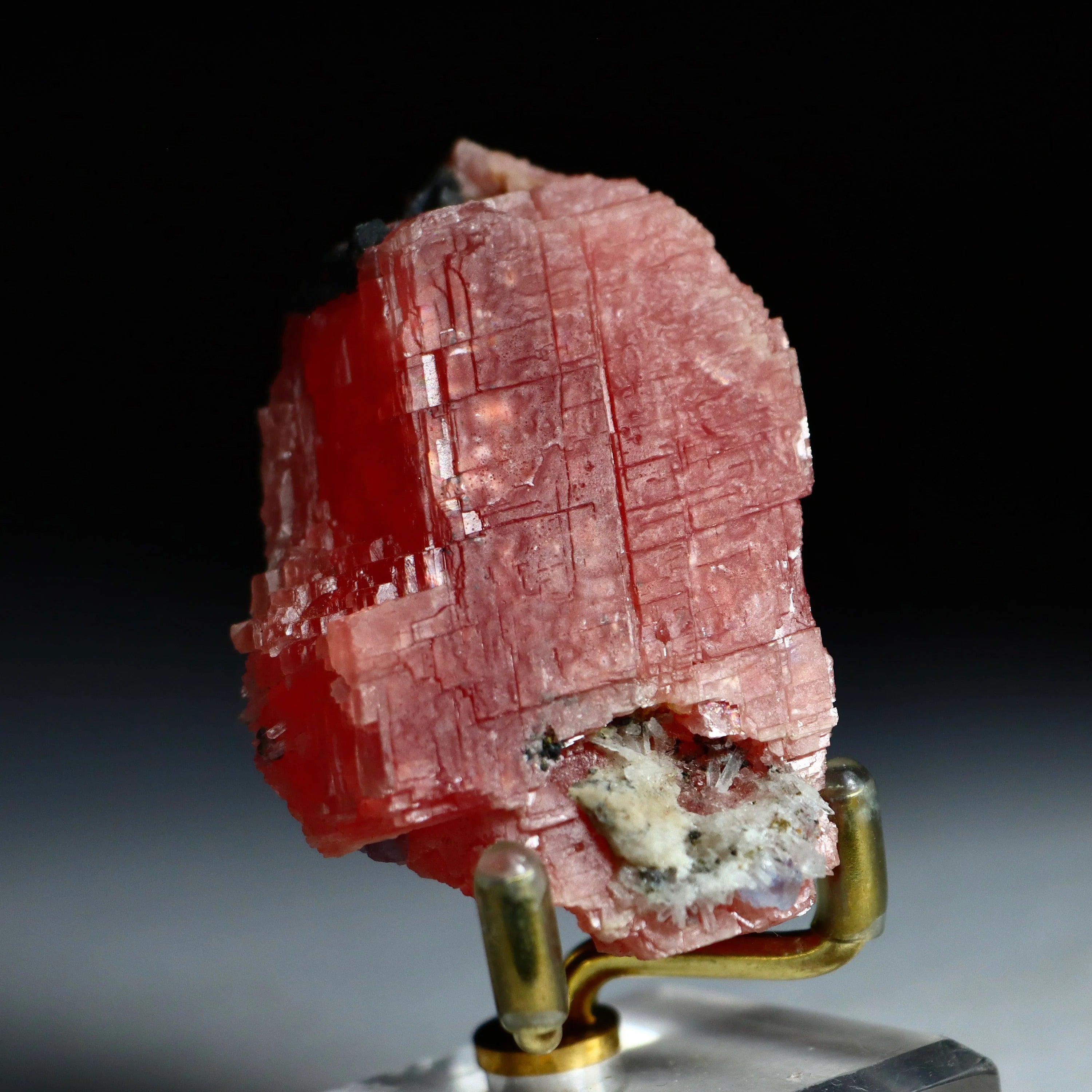 Sweet Home Mine Rhodochrosite with Fluorite, Quartz, Tetrahedrite & Pyrite | Rare Colorado Mineral Specimen