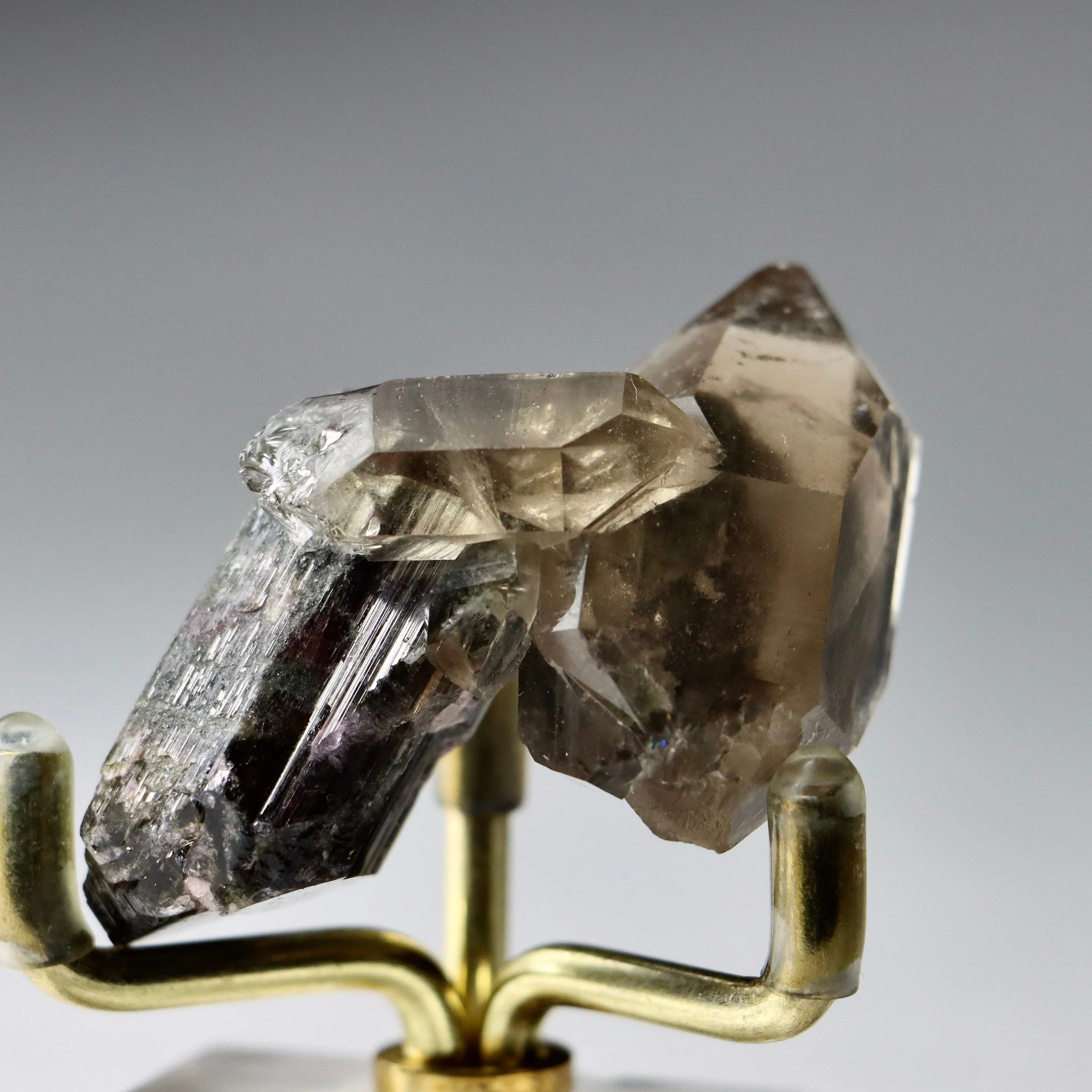 Liddicoatite Tourmaline with Smoky Quartz | Madagascar