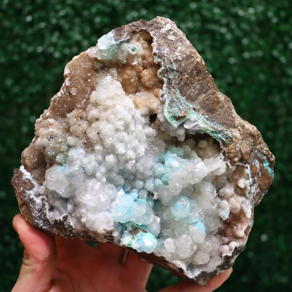 Druzy Quartz & Calcite on Chrysocolla and Malachite | Fine Mineral Specimen from Lily Mine, Peru
