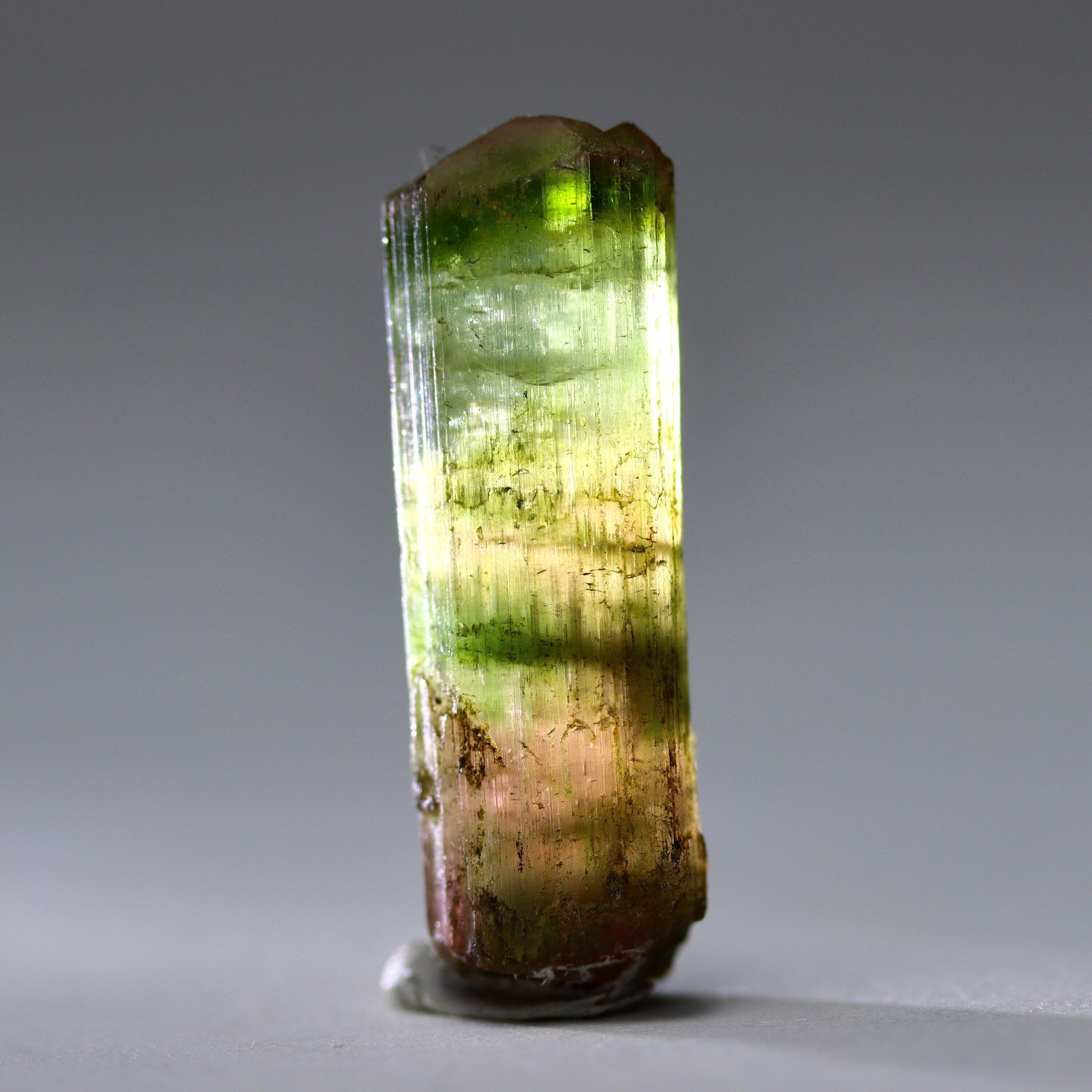 Catseye Watermelon Tourmaline Crystal