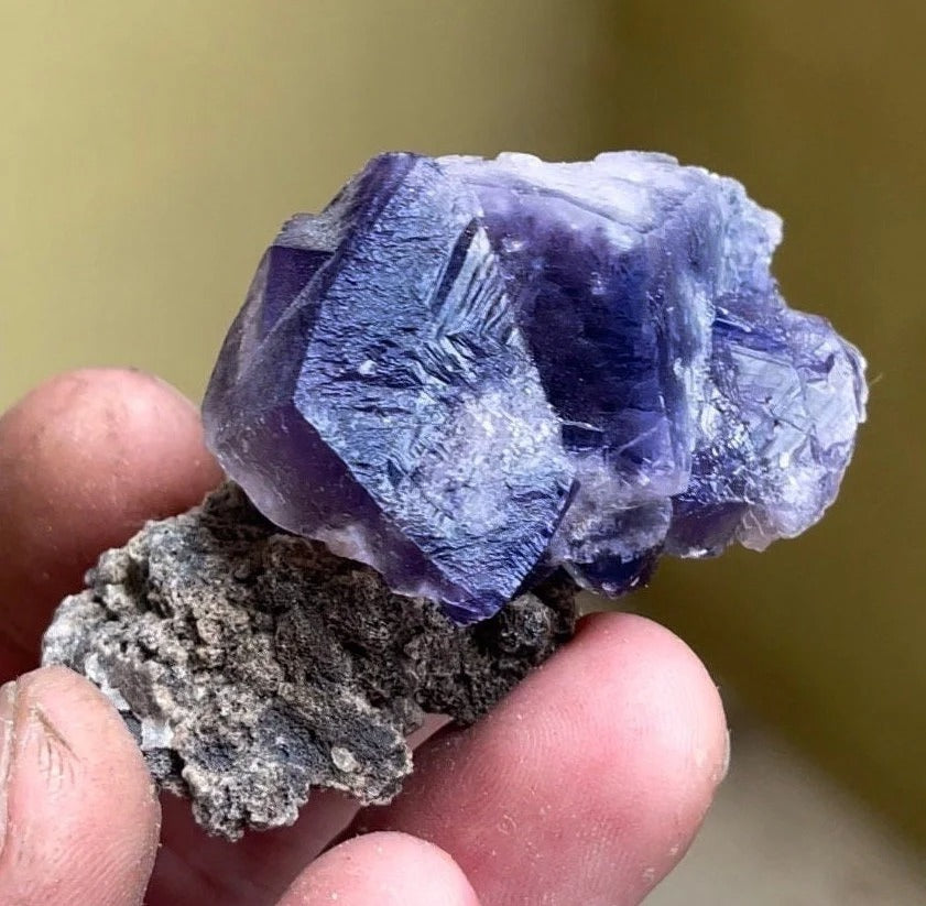 Color Changing Fluorite on Matrix | Rogerley Mine