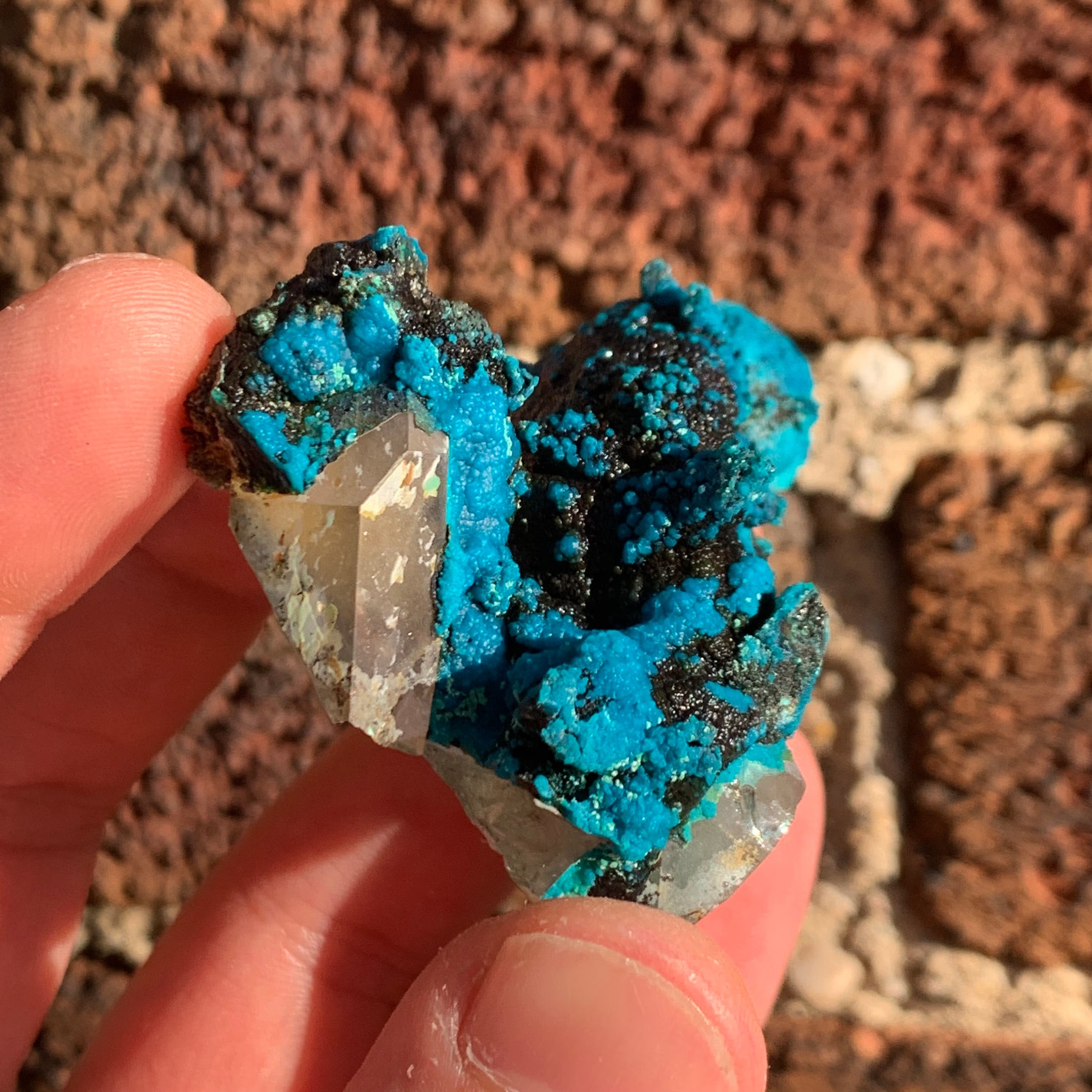 Chrysocolla after Calcite on Quartz | Raw Quartz Crystal Raw Crystal Natural Quartz Stone Healing Crystal Point Quartz Smokey