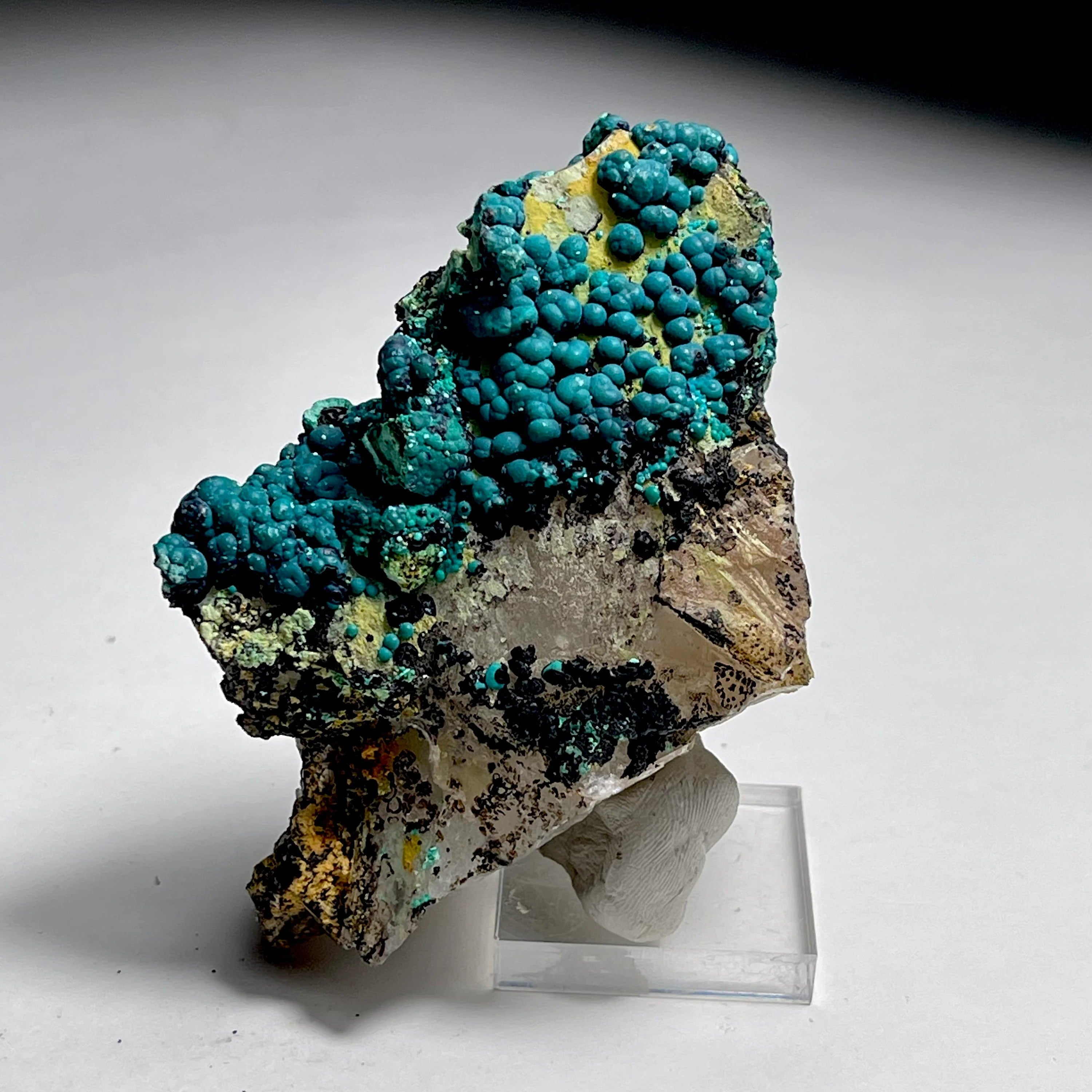 Botryoidal Chrysocolla on Quartz | Natural Mineral Specimen from Tentadora Mine, Peru