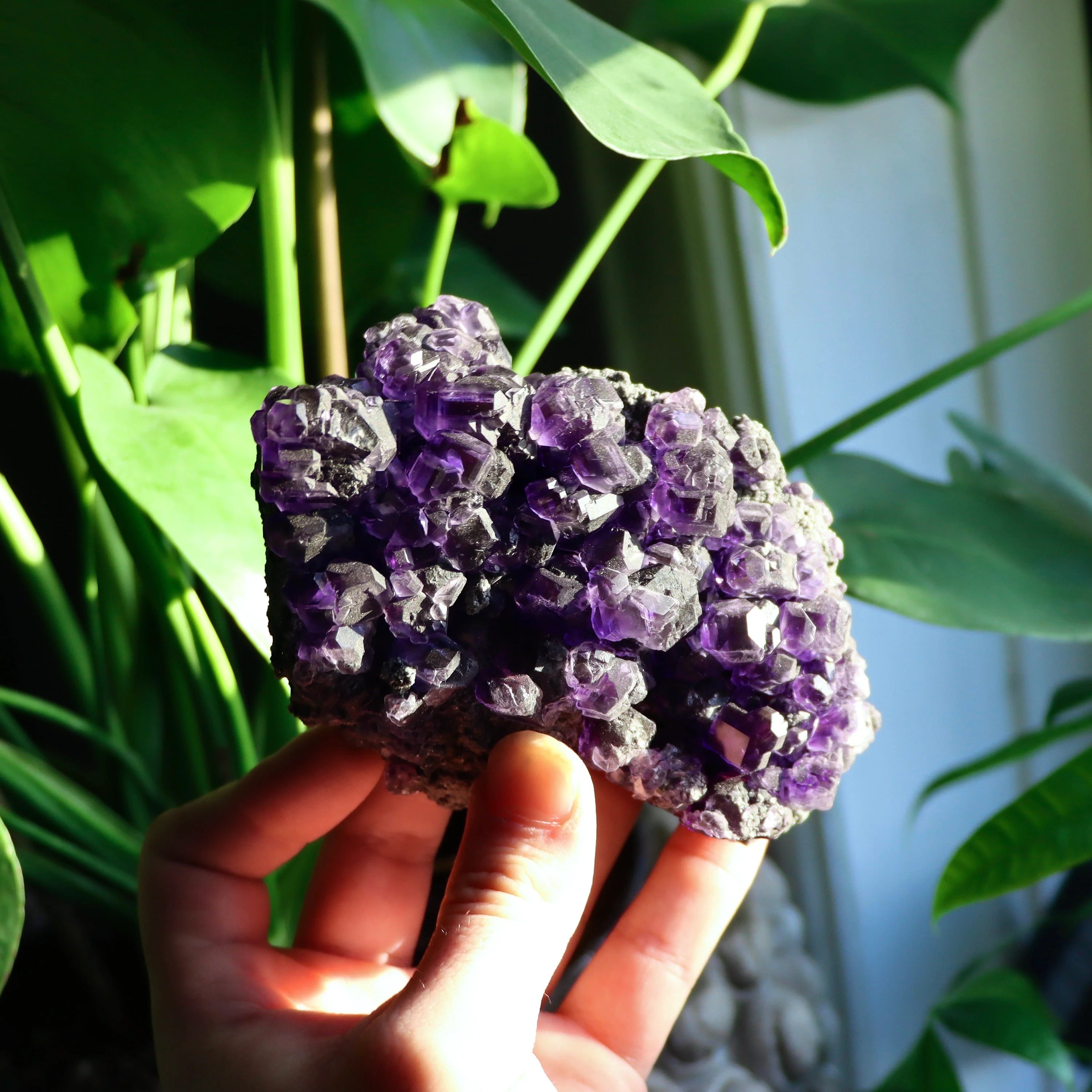 Purple “Tanzanite” Fluorite Crystal | Natural Cubic Fluorite from Xiayang Mine, Fujian, China